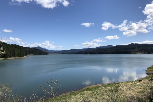 Dorena Reservoir by Taj Morgan