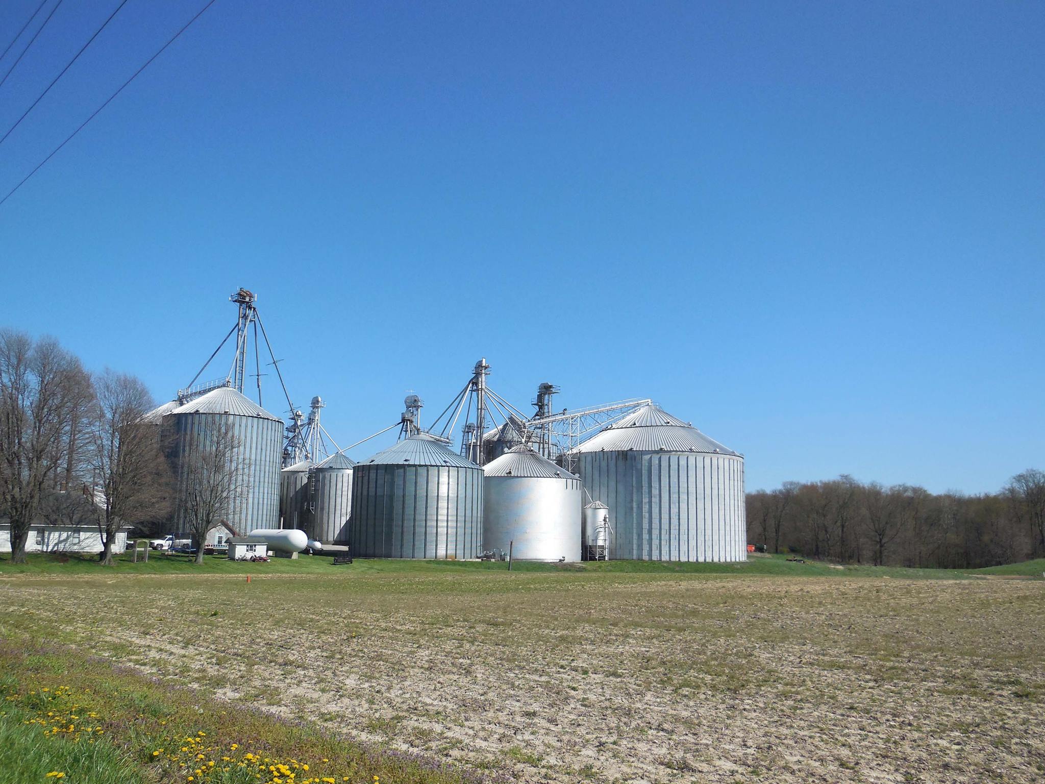 A family farm near Hall.