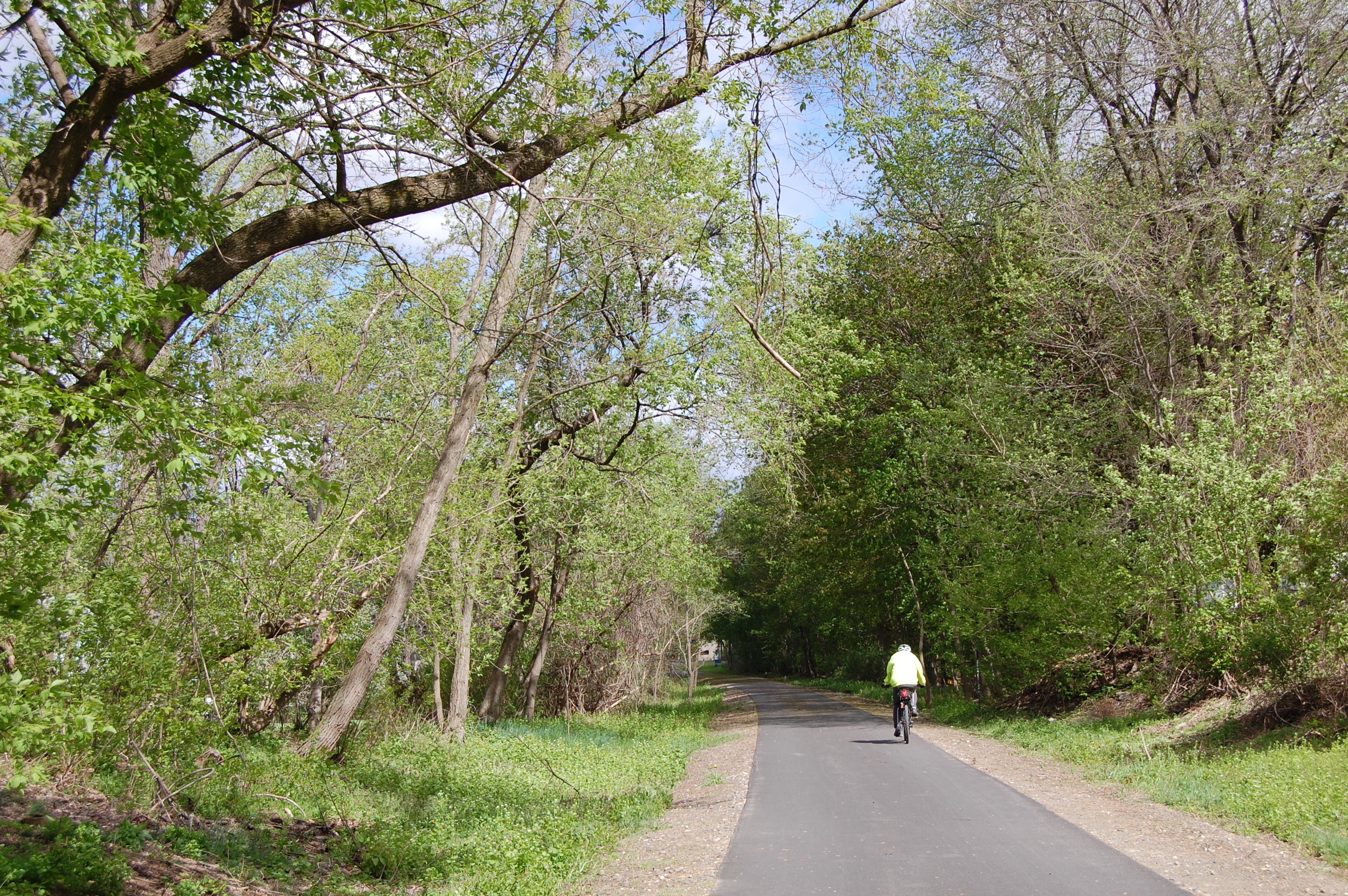 Bicyclist on Rail Trail