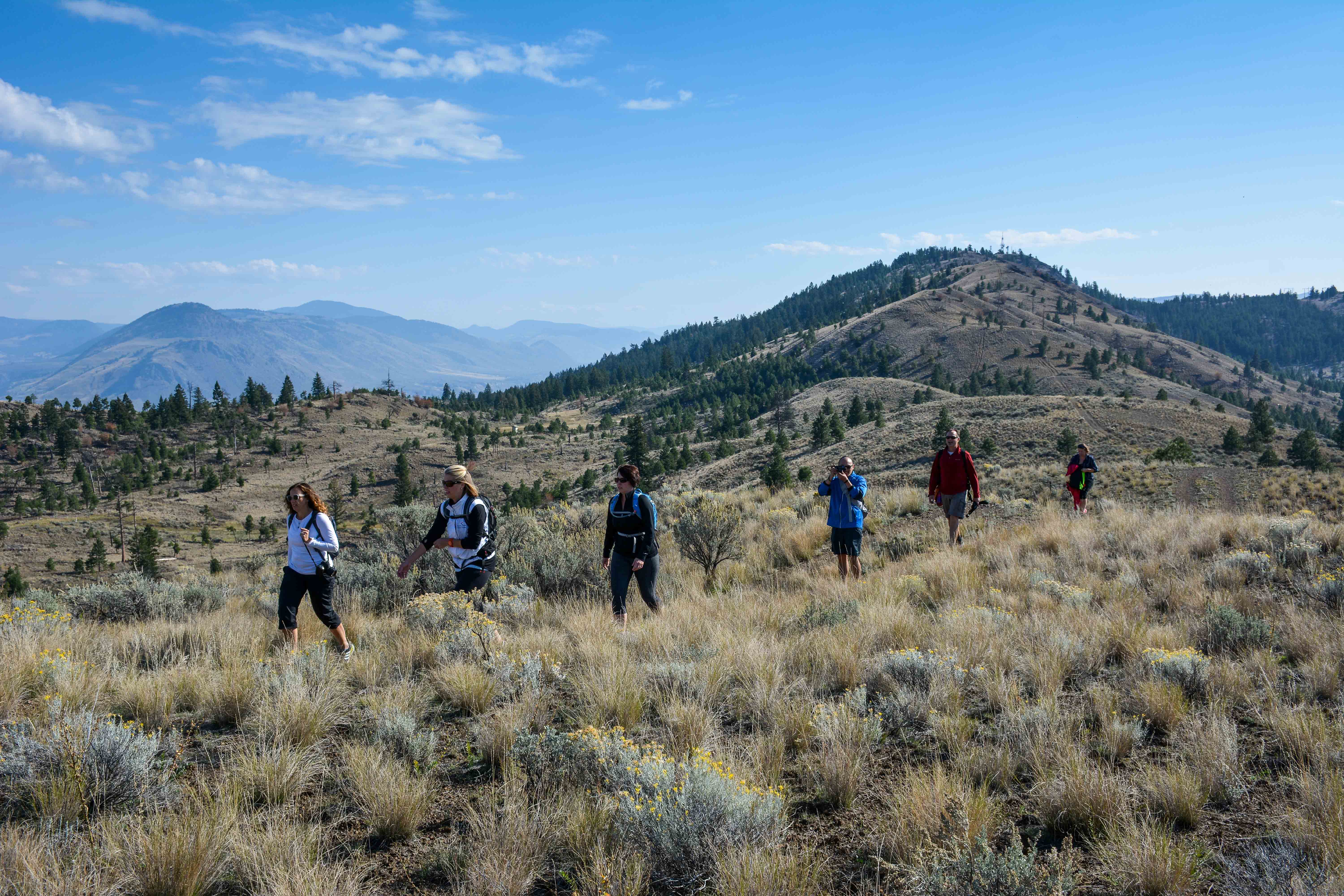 Hiking