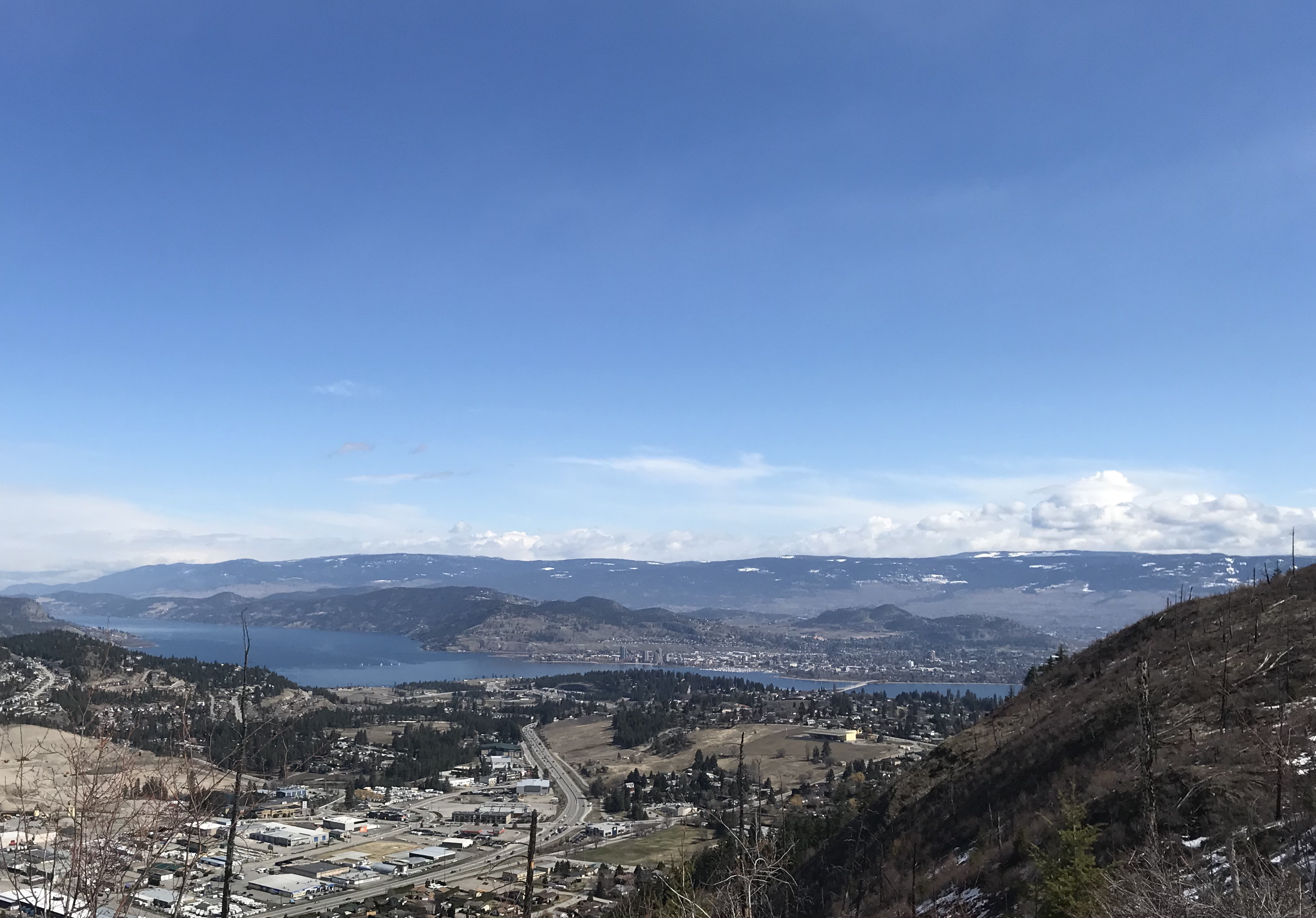 Midway up Mount Boucherie