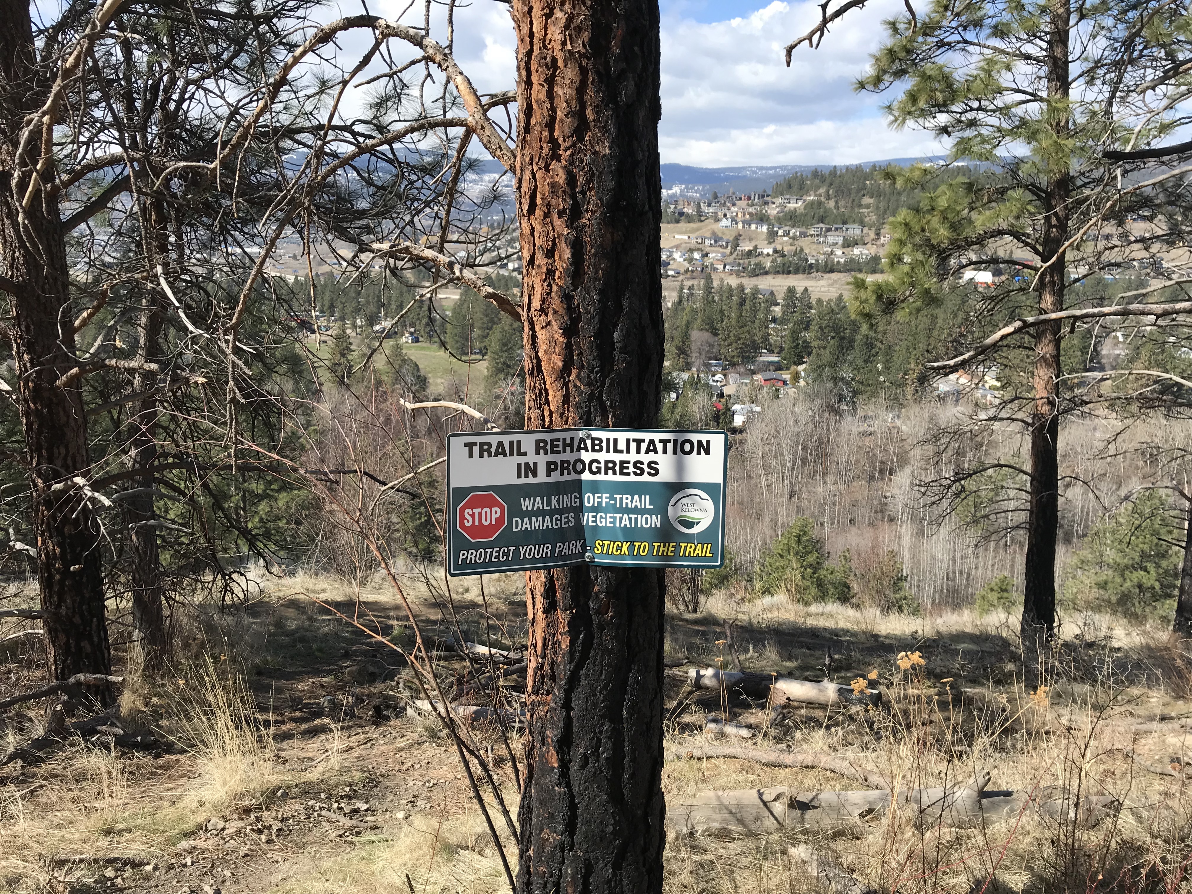 Mount Boucherie Trail