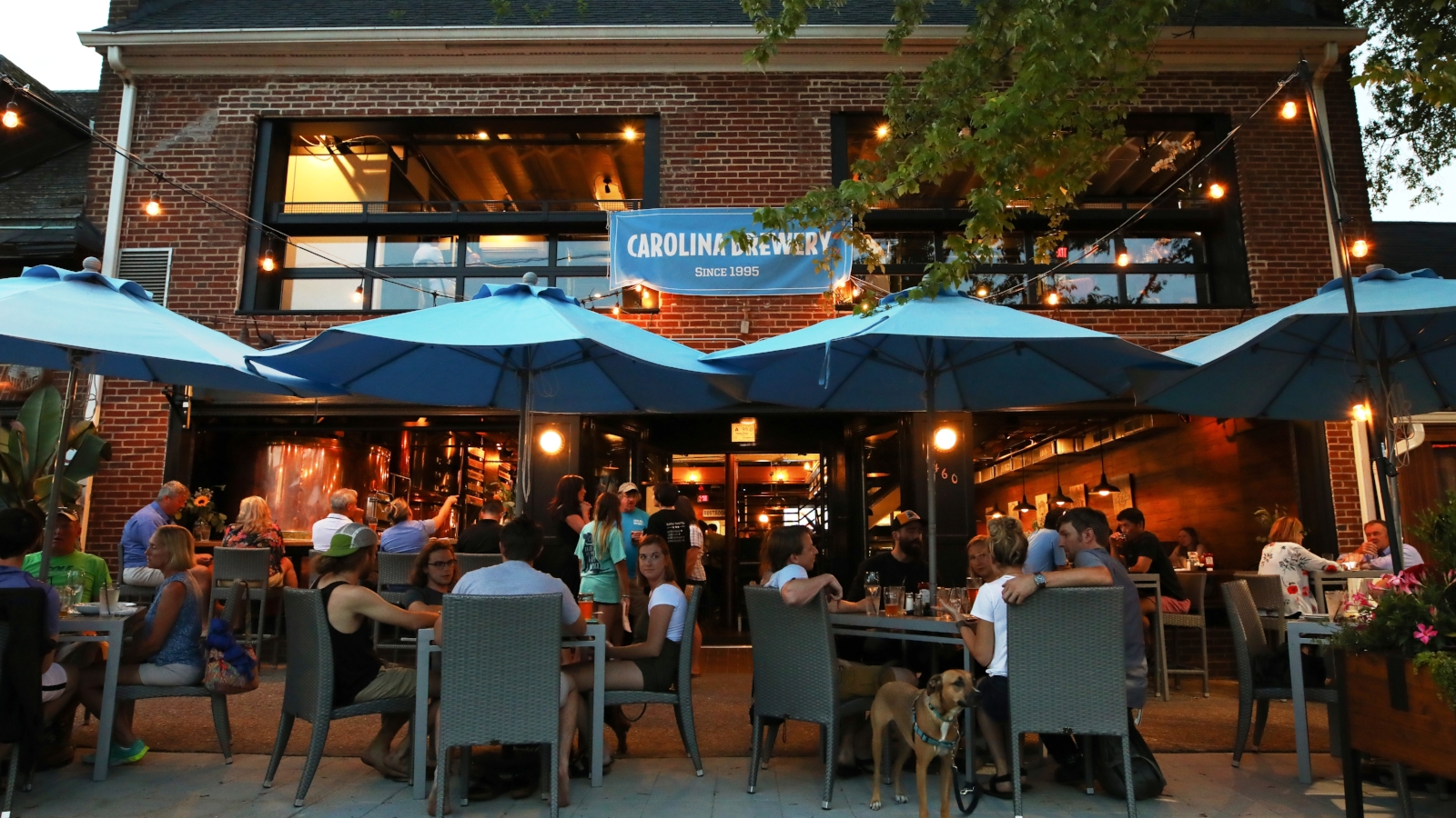 The Carolina Brewery on Chapel Hill's West Franklin Street