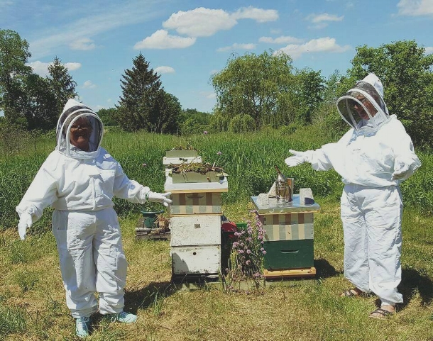 Beekeepers tending to their bees