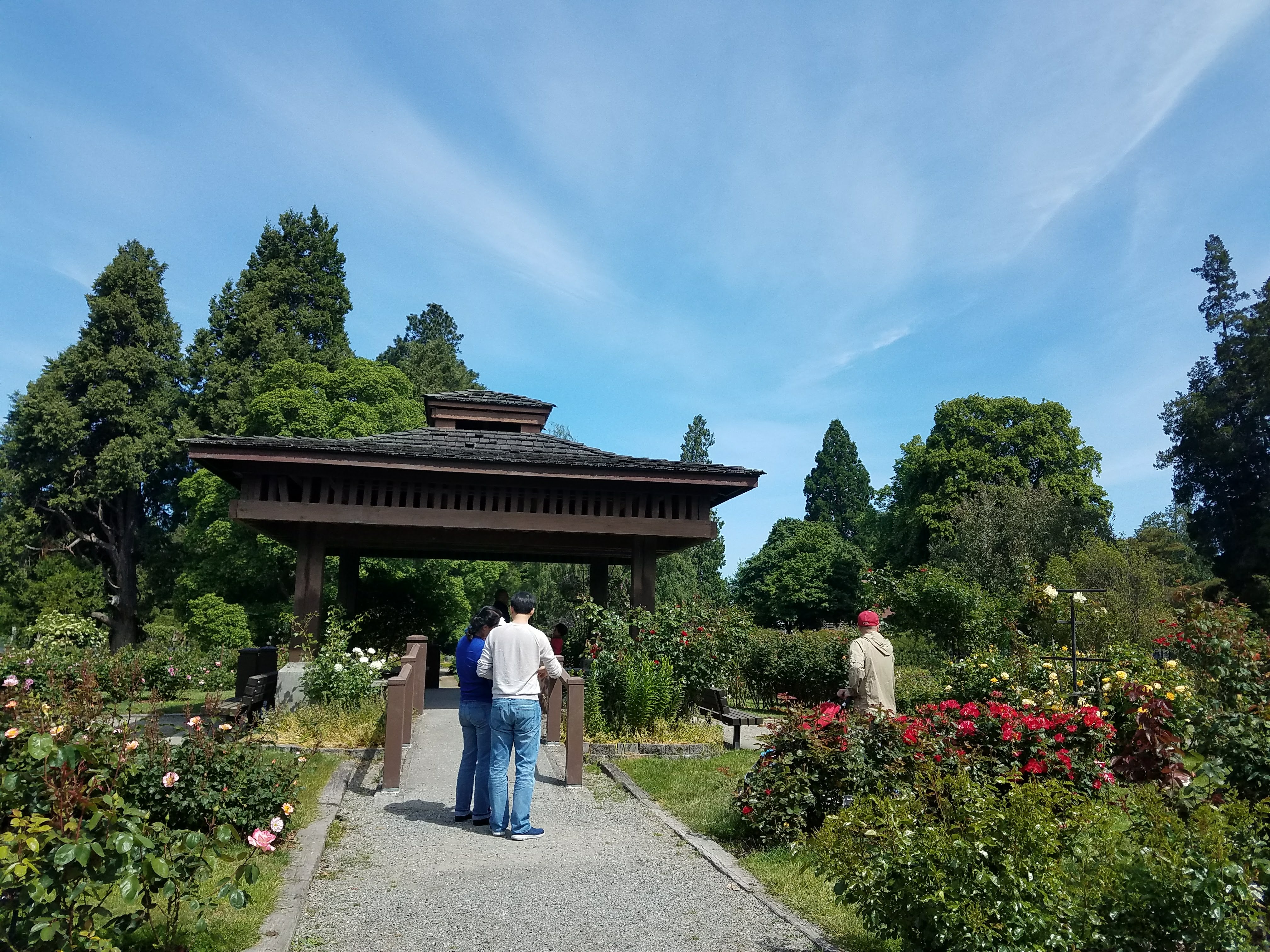 Point Defiance Park Rose Garden