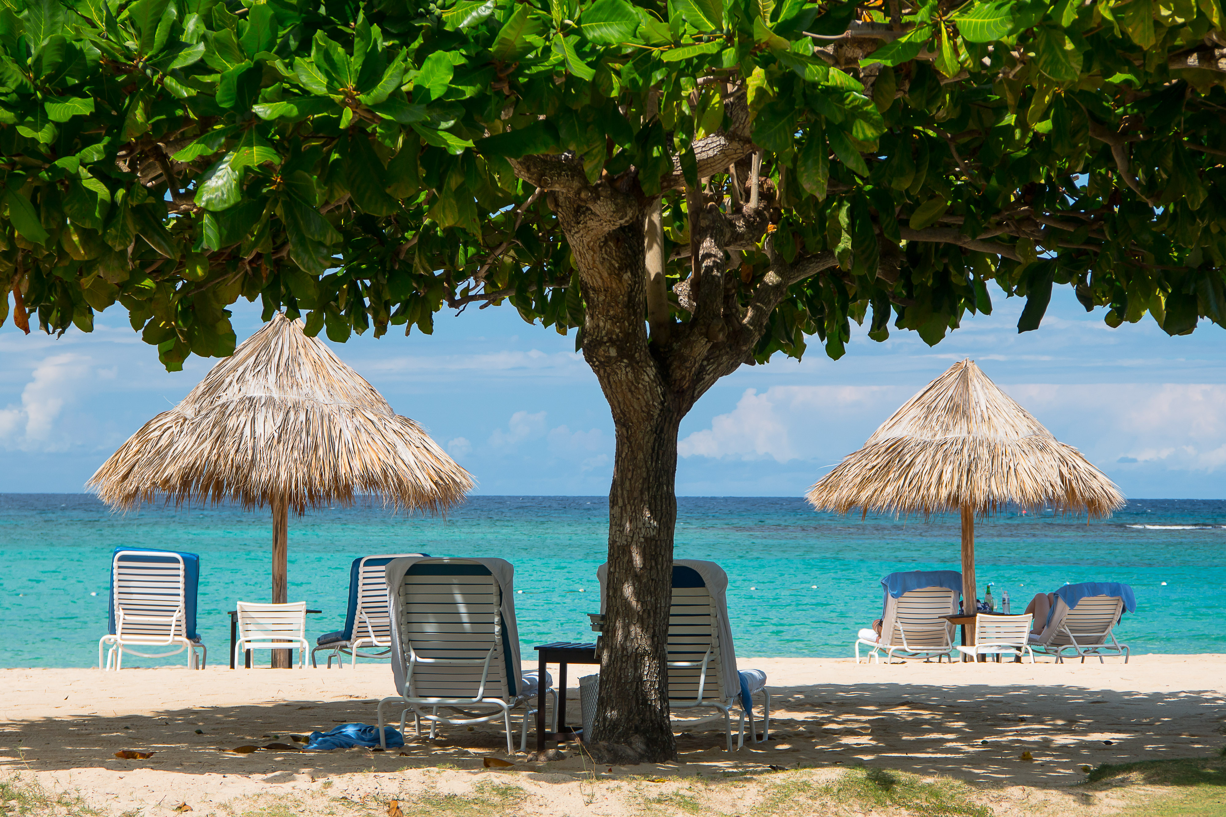 Eat Delicious Jamaican Cuisine on the Beach