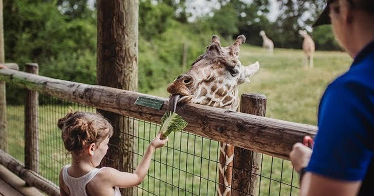 Visit the Fort Wayne Children's Zoo