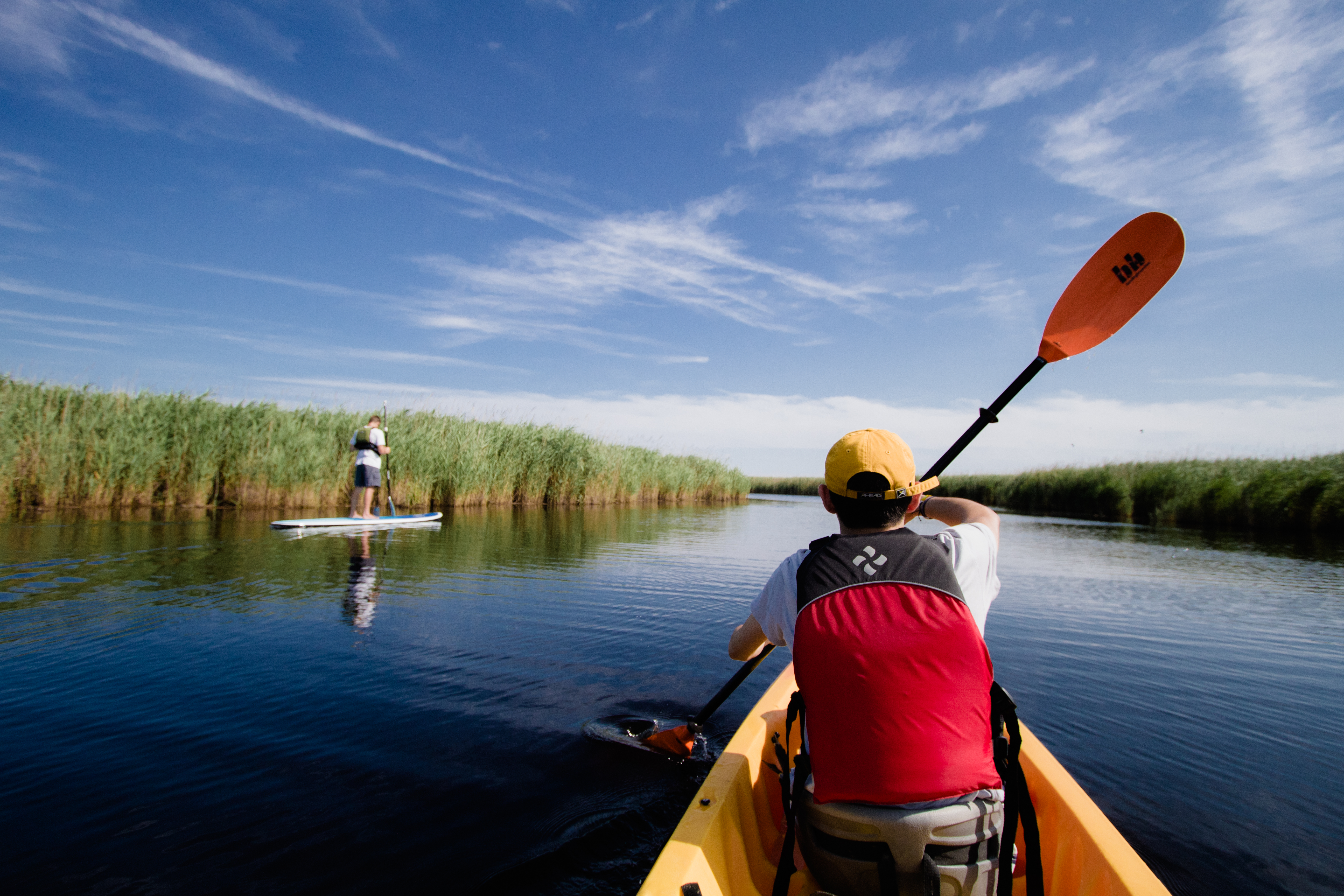 Kayaking and SUP Boarding in Virginia Beach