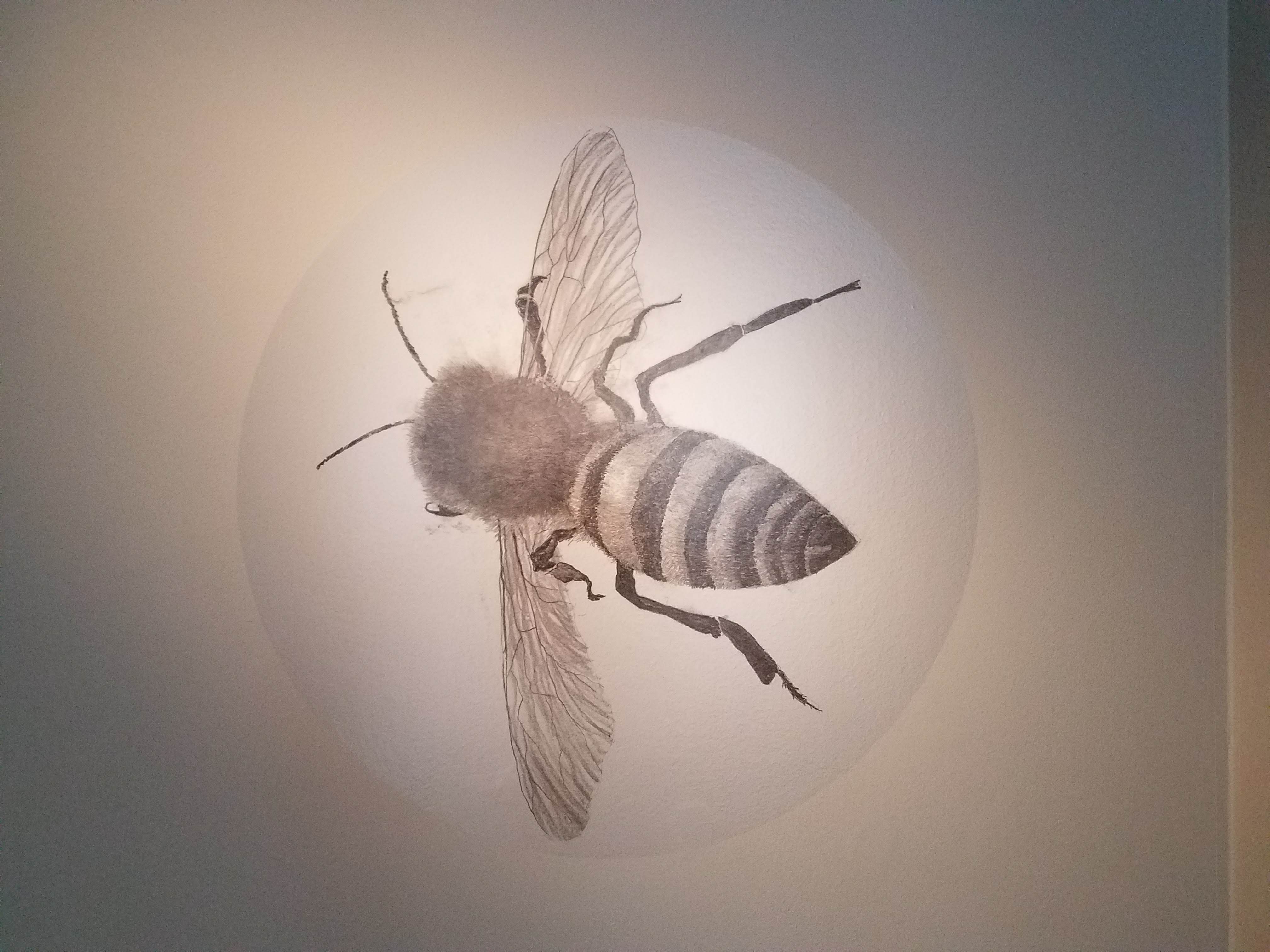 Museum of Glass - Foraging the Hive