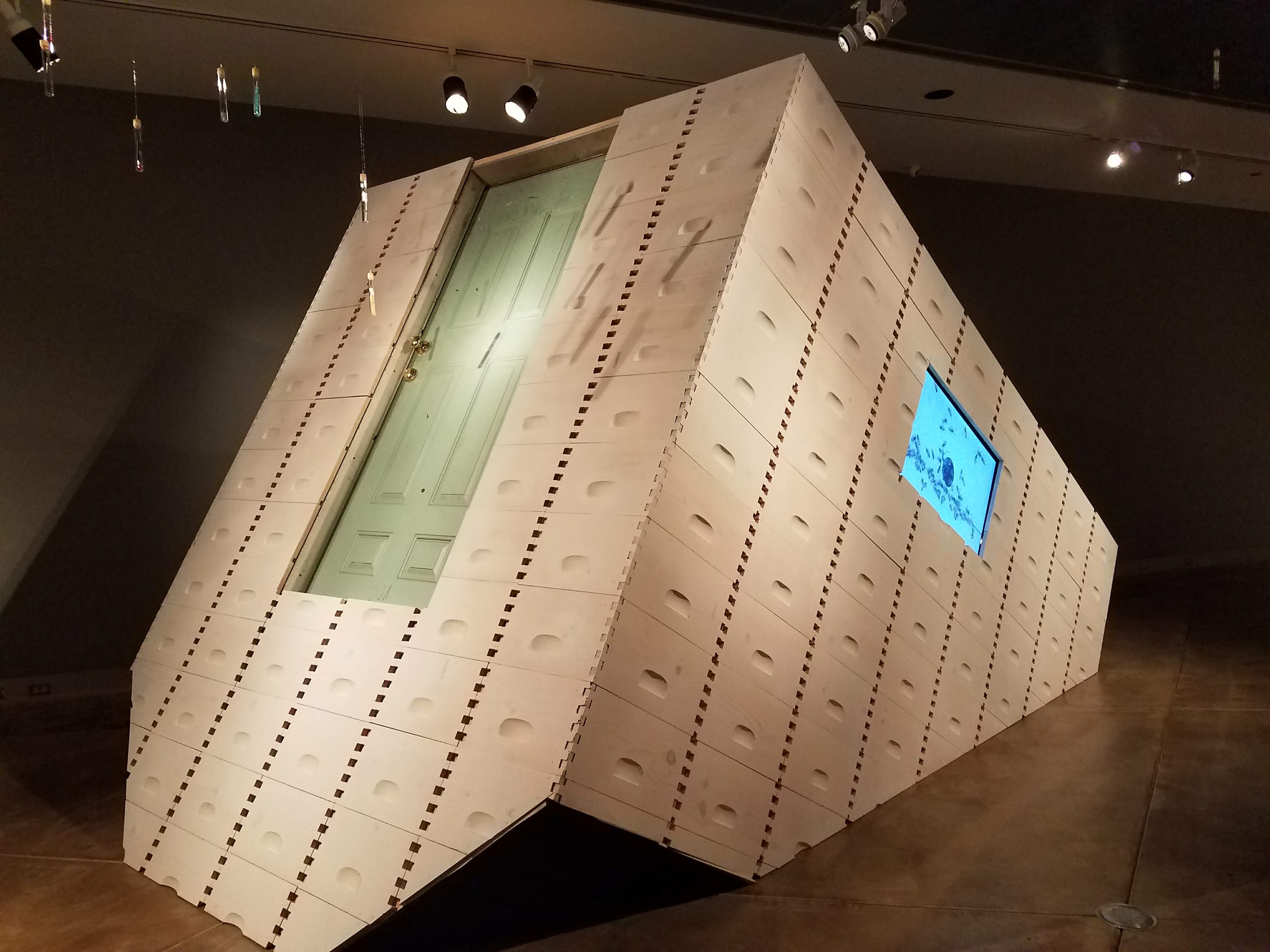 Museum of Glass - Foraging the Hive