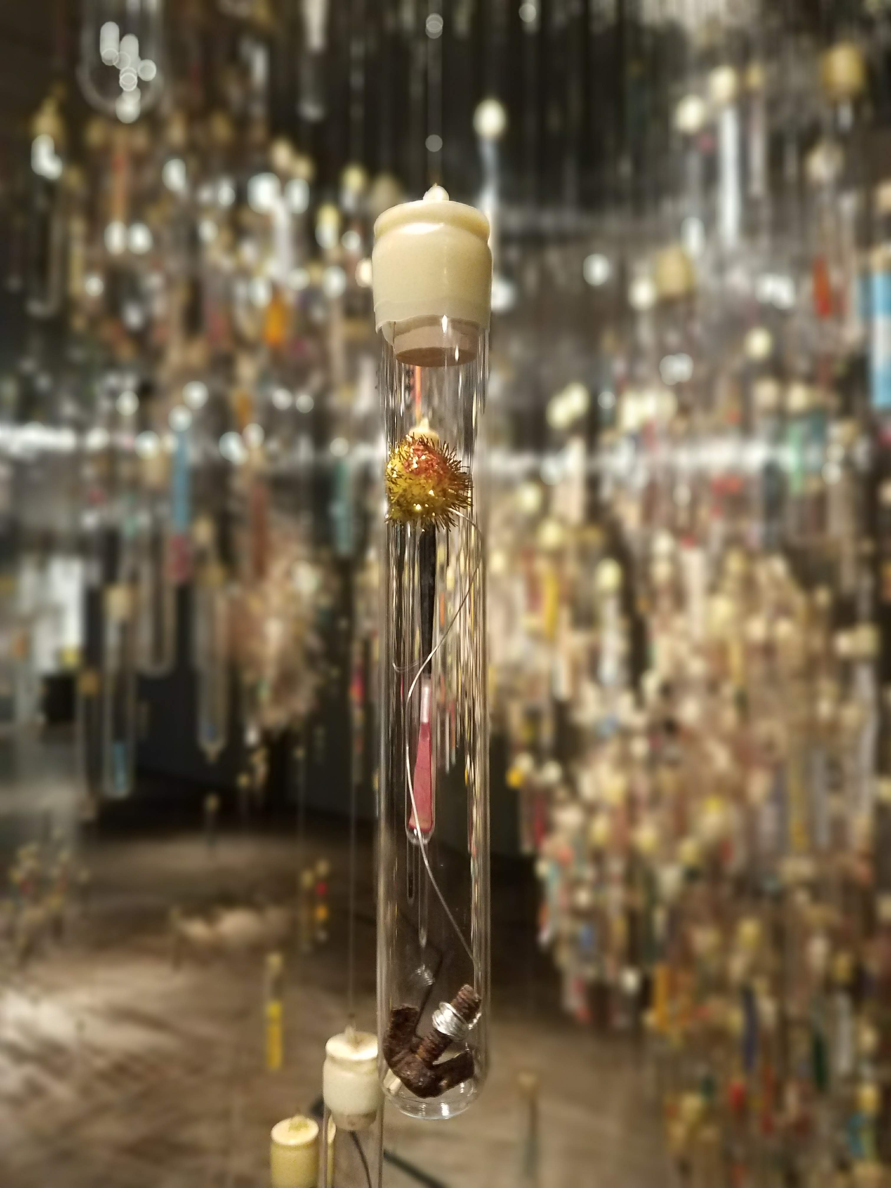 Museum of Glass - Foraging the Hive