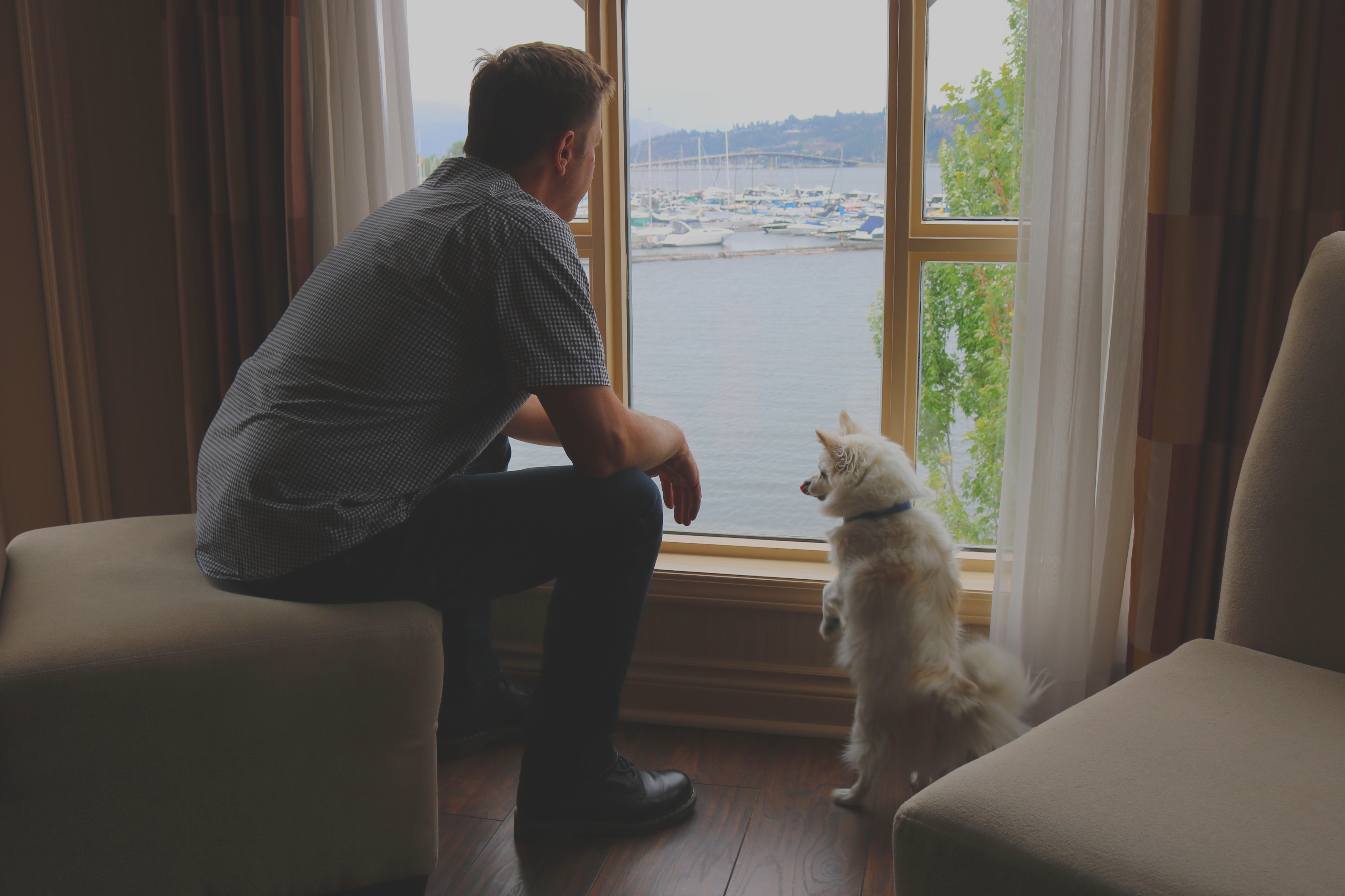 Delta Room with Dog