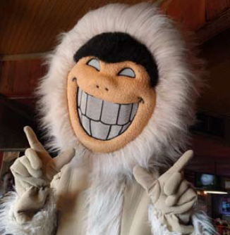eskimo joe