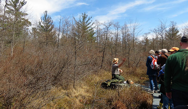 People Hiking Pinhook Bog Ranger Hike