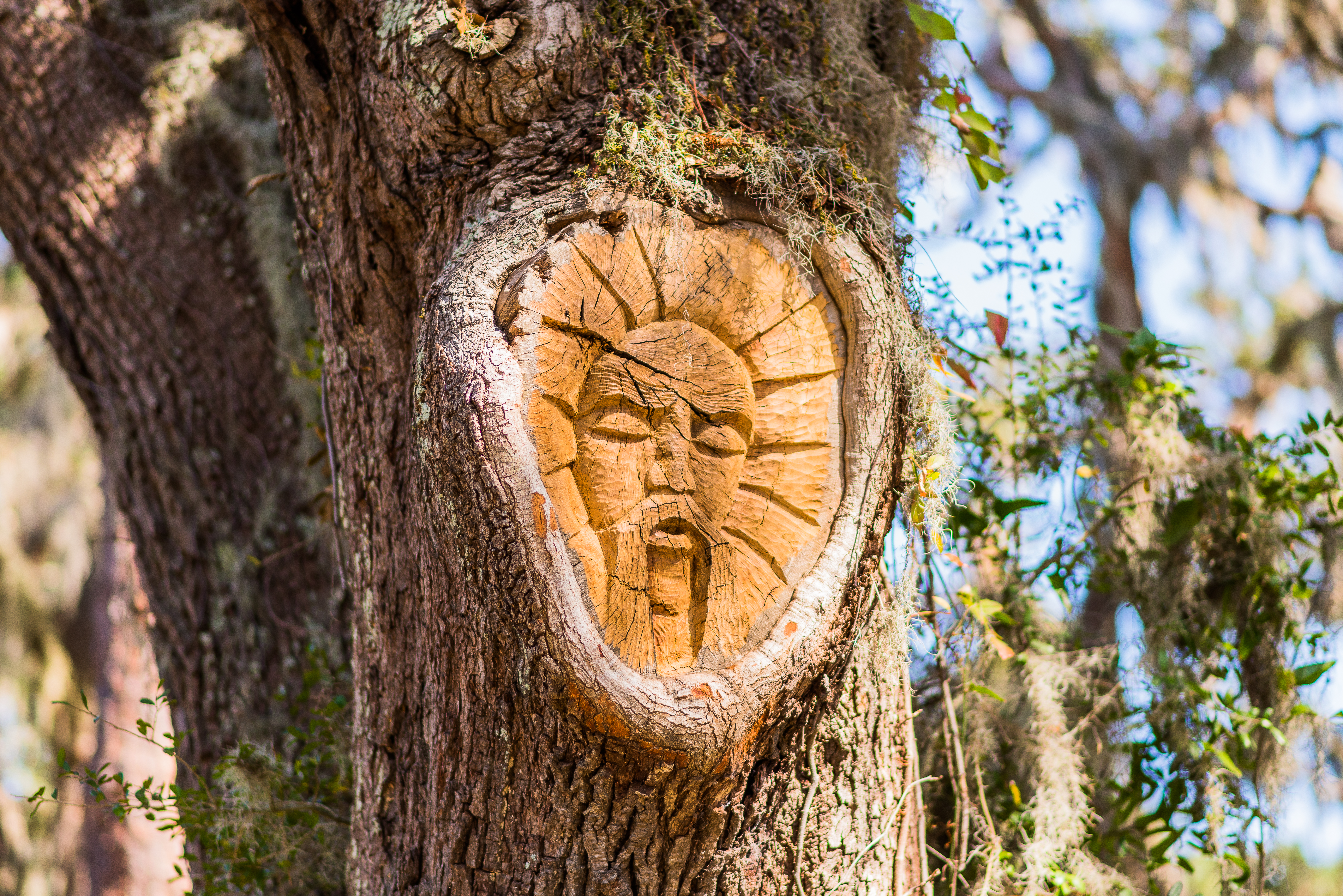 Tree_Spirit_Gascoigne_Park_68b