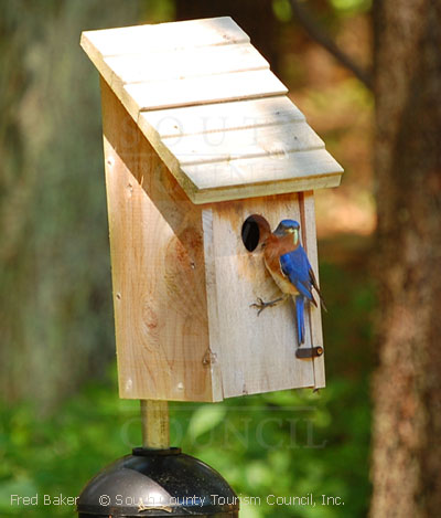 Bird house