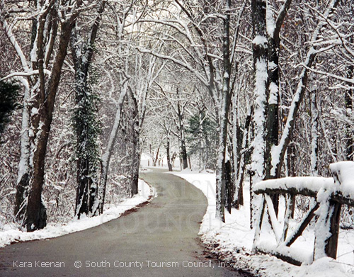 Road in Winter