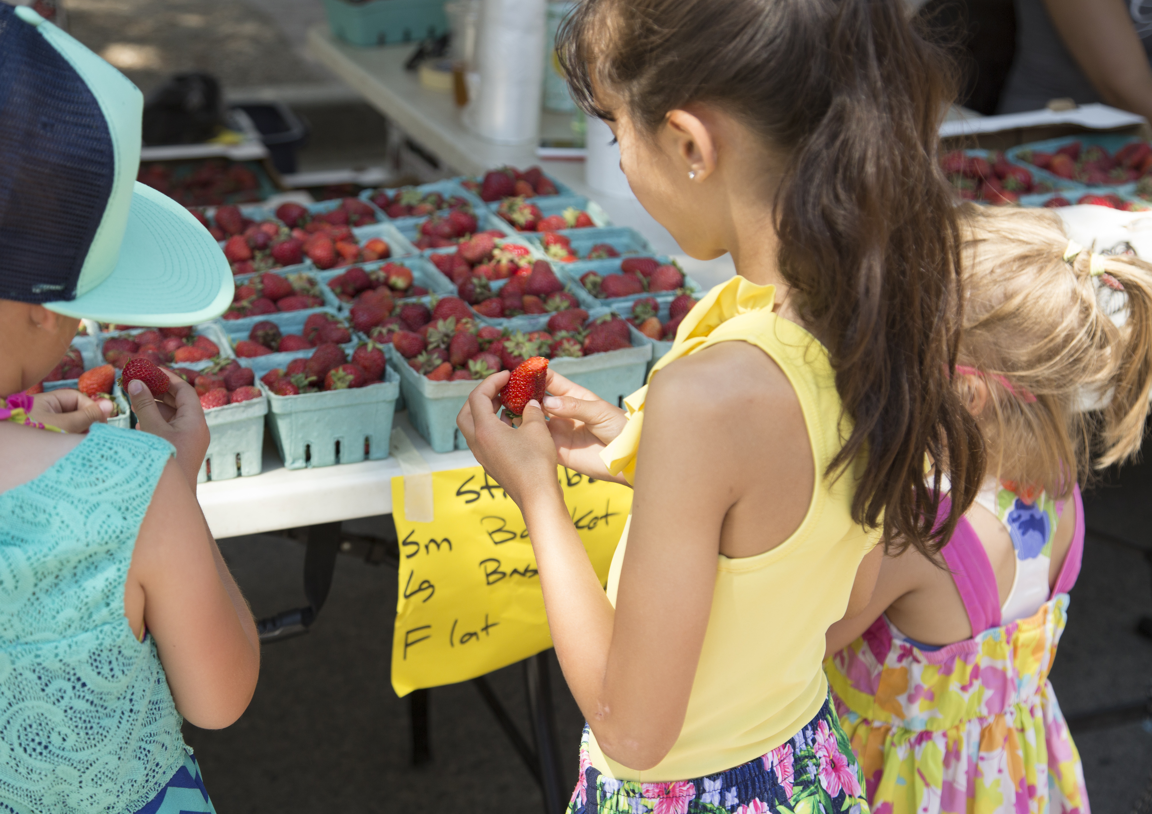 Strawberries at the Downtown Farmers Market