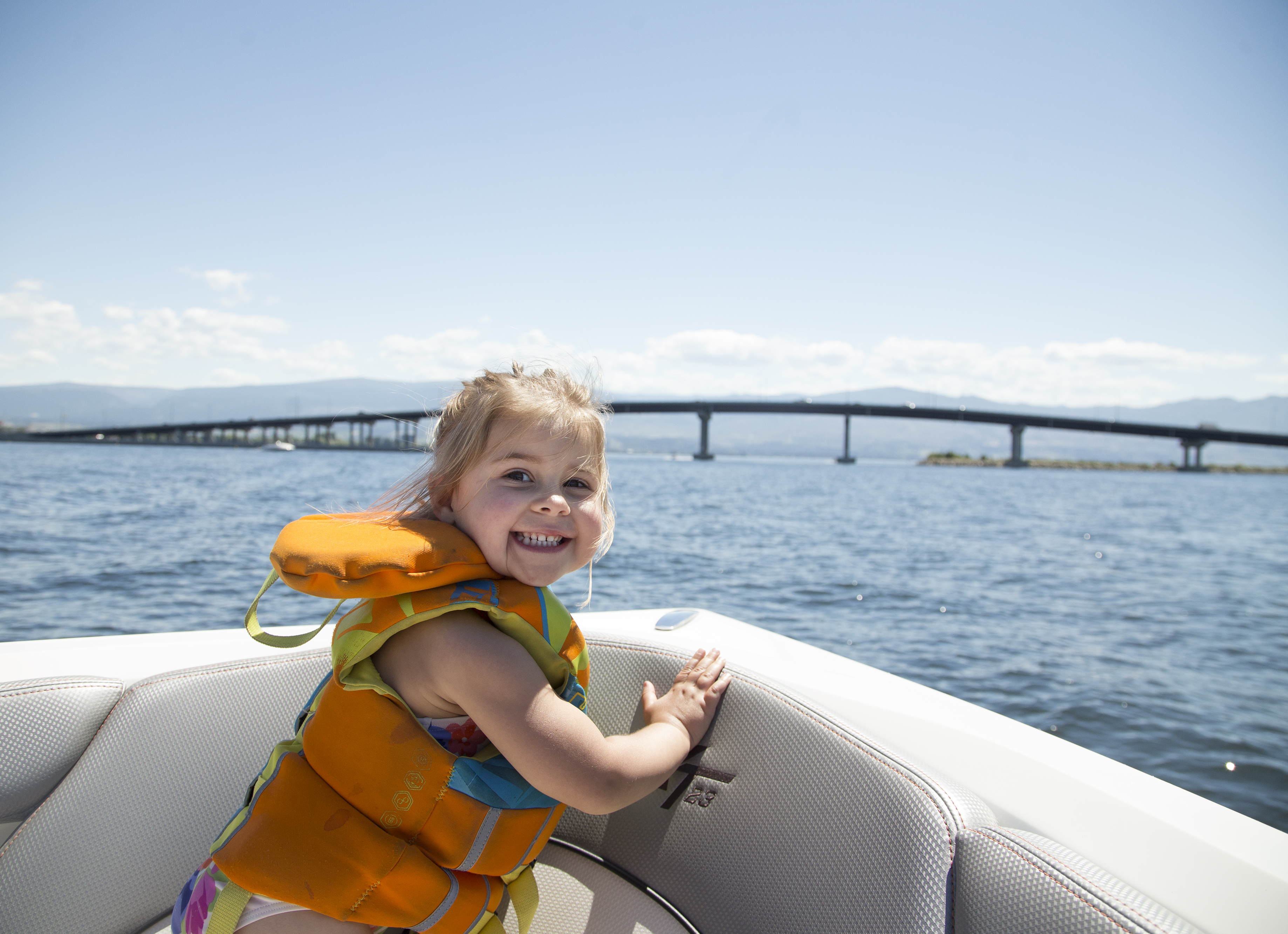 Bridge from the water