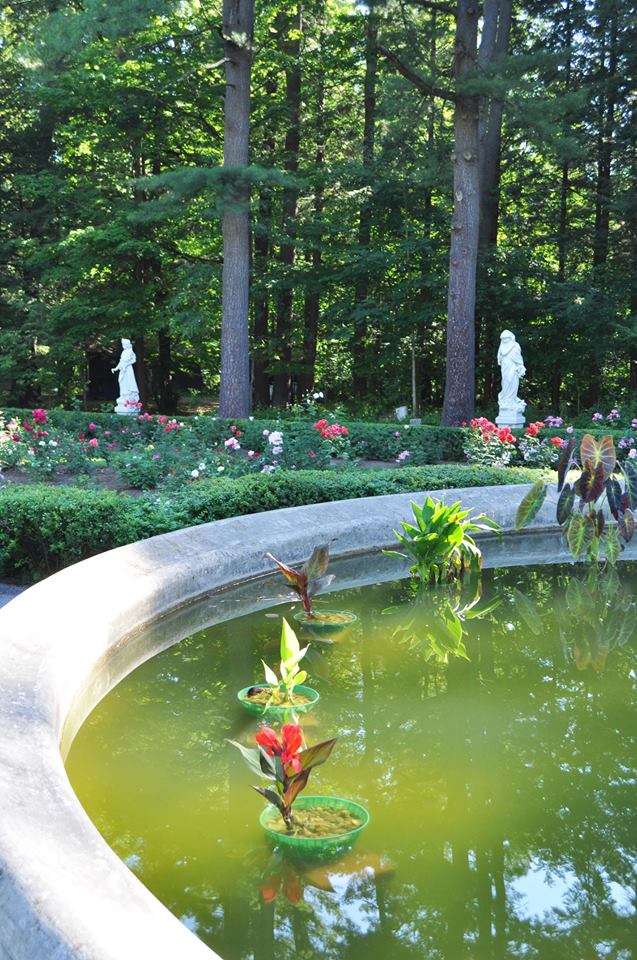 Koi pond at Yaddo Gardens