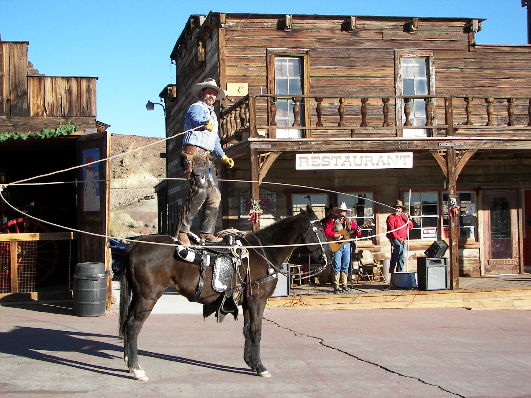 Calico Lasso