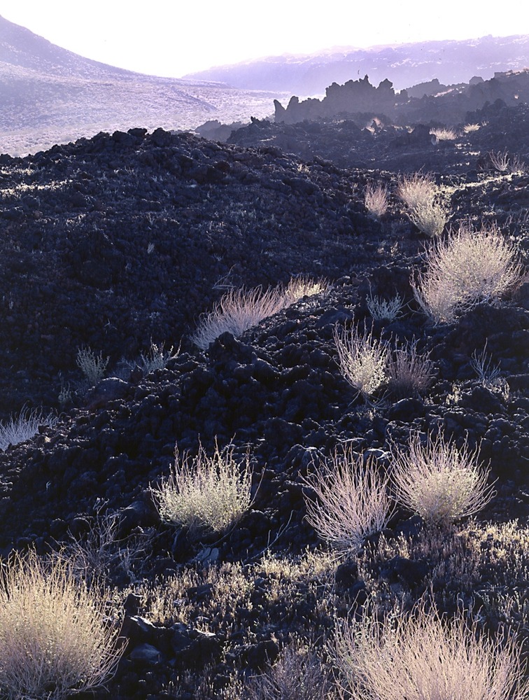 Lava Flows