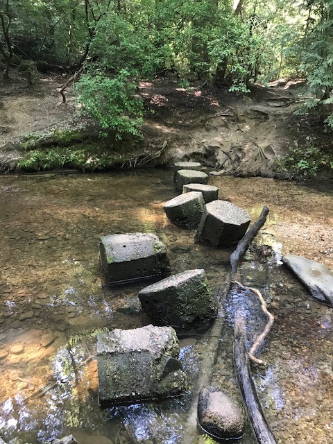 Carley’s Adventures: Dismals Canyon