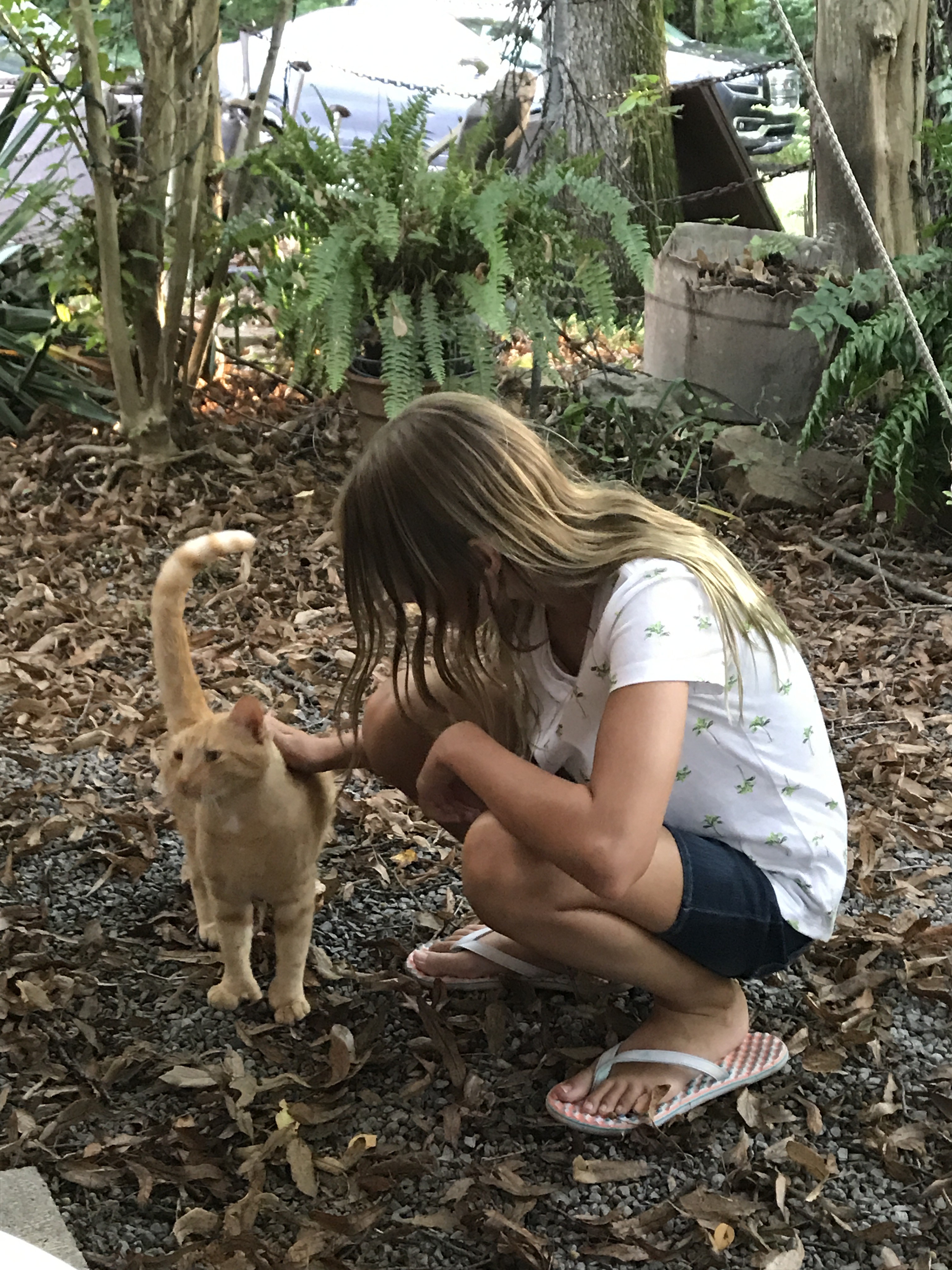 Carley’s Adventures: Wildflower Cafe