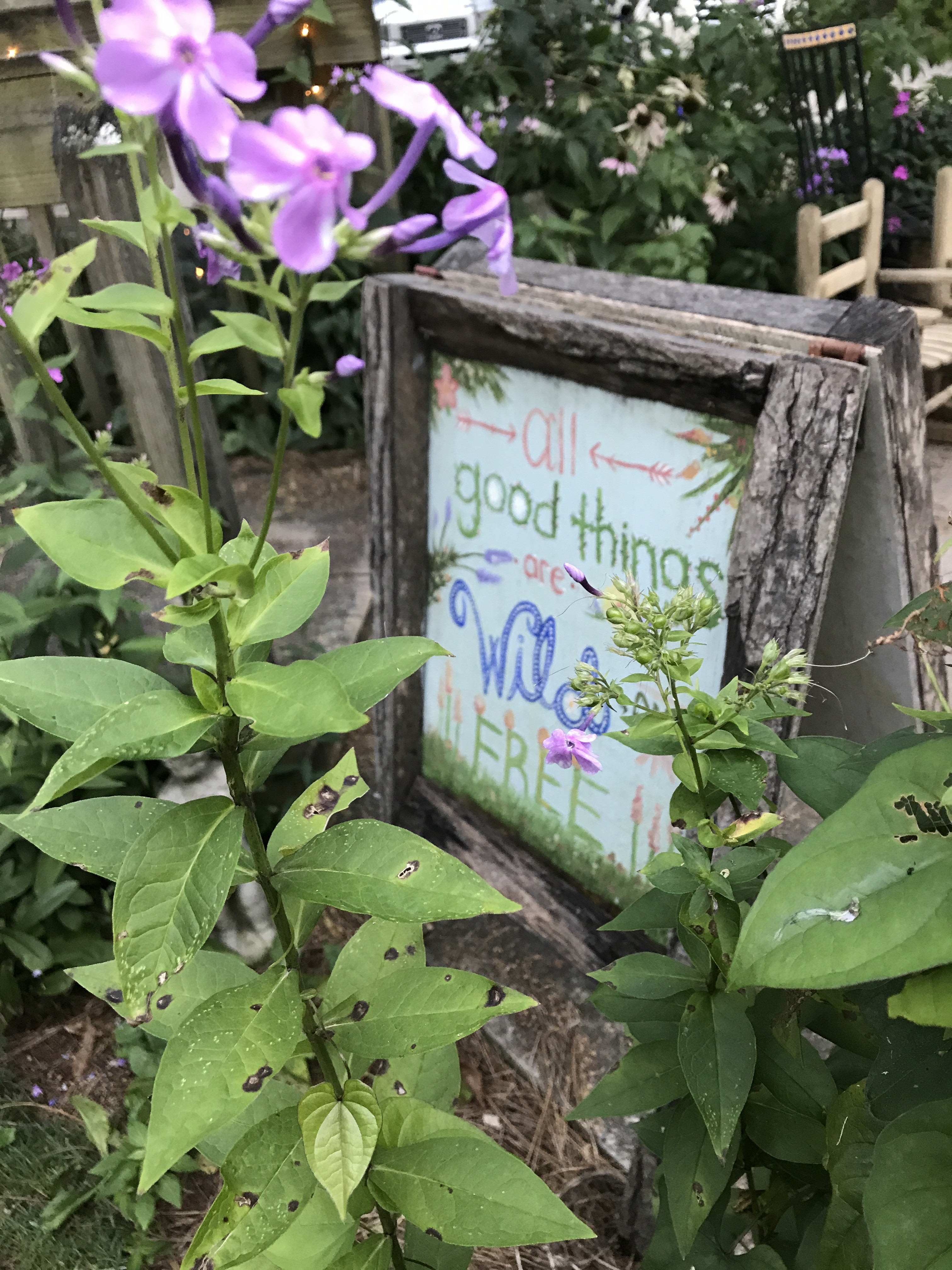 Carley’s Adventures: Wildflower Cafe