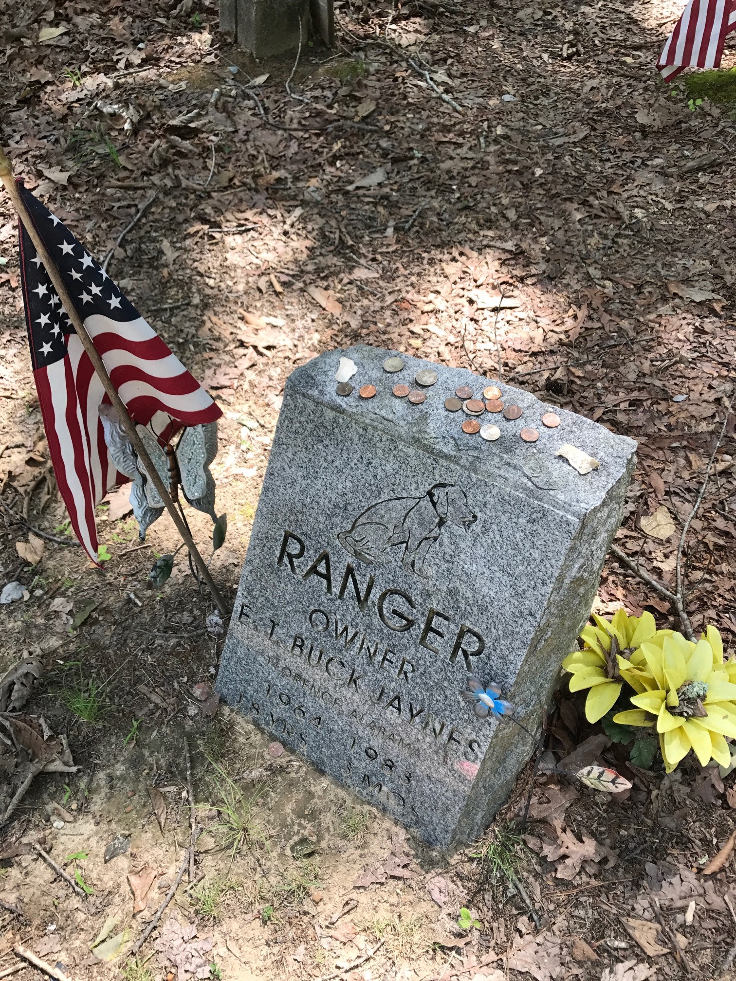 Carley’s Adventures: Coon Dog Cemetery