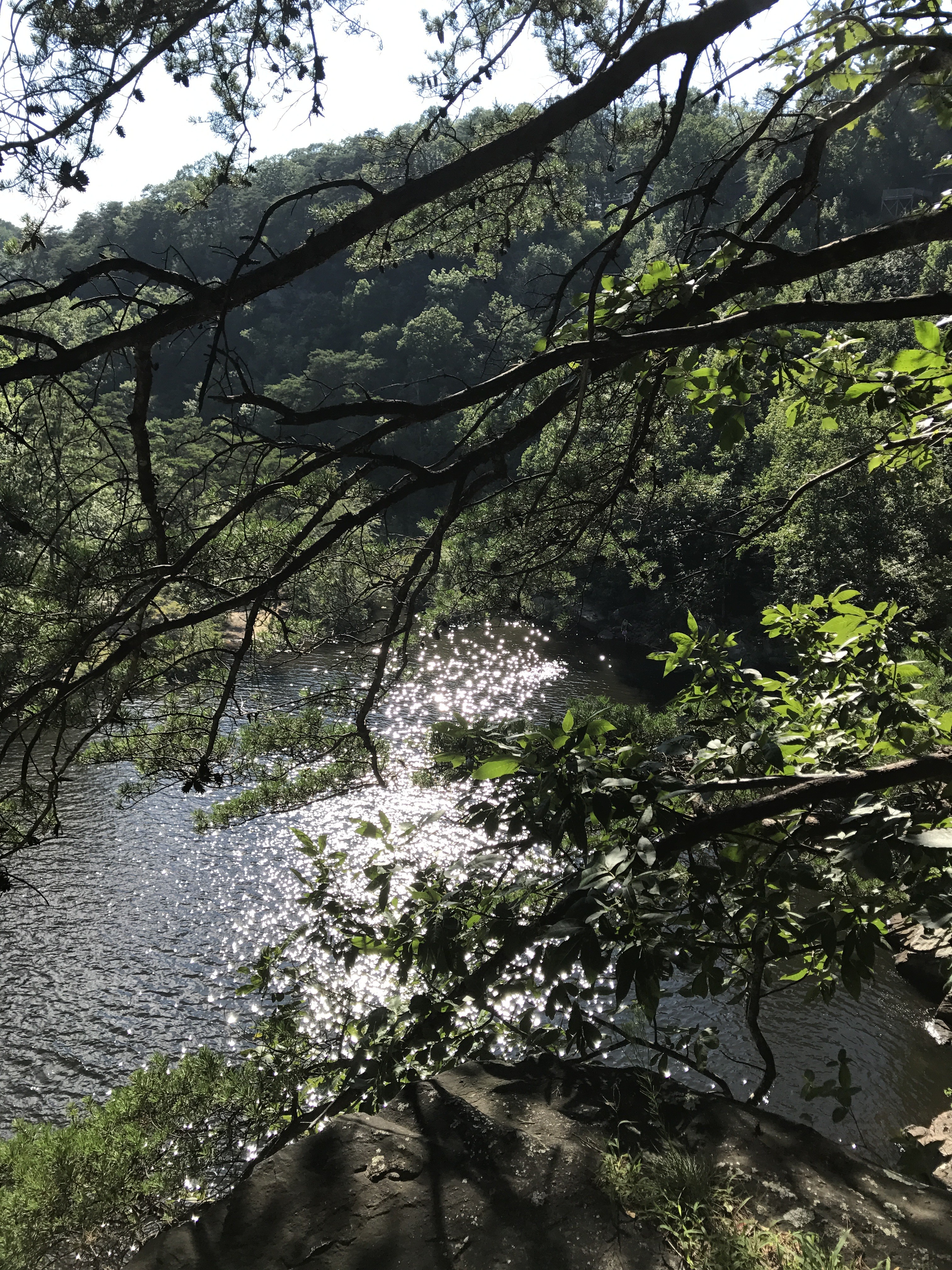Carley’s Adventures: DeSoto Falls