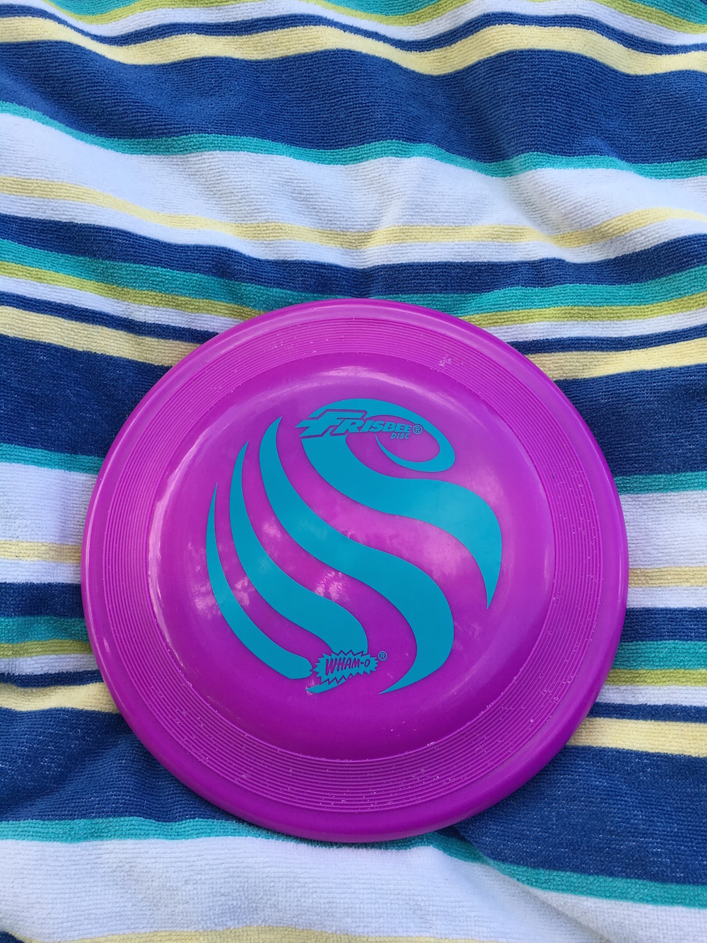 Frisbee on beach towel for day trip to Big Falls
