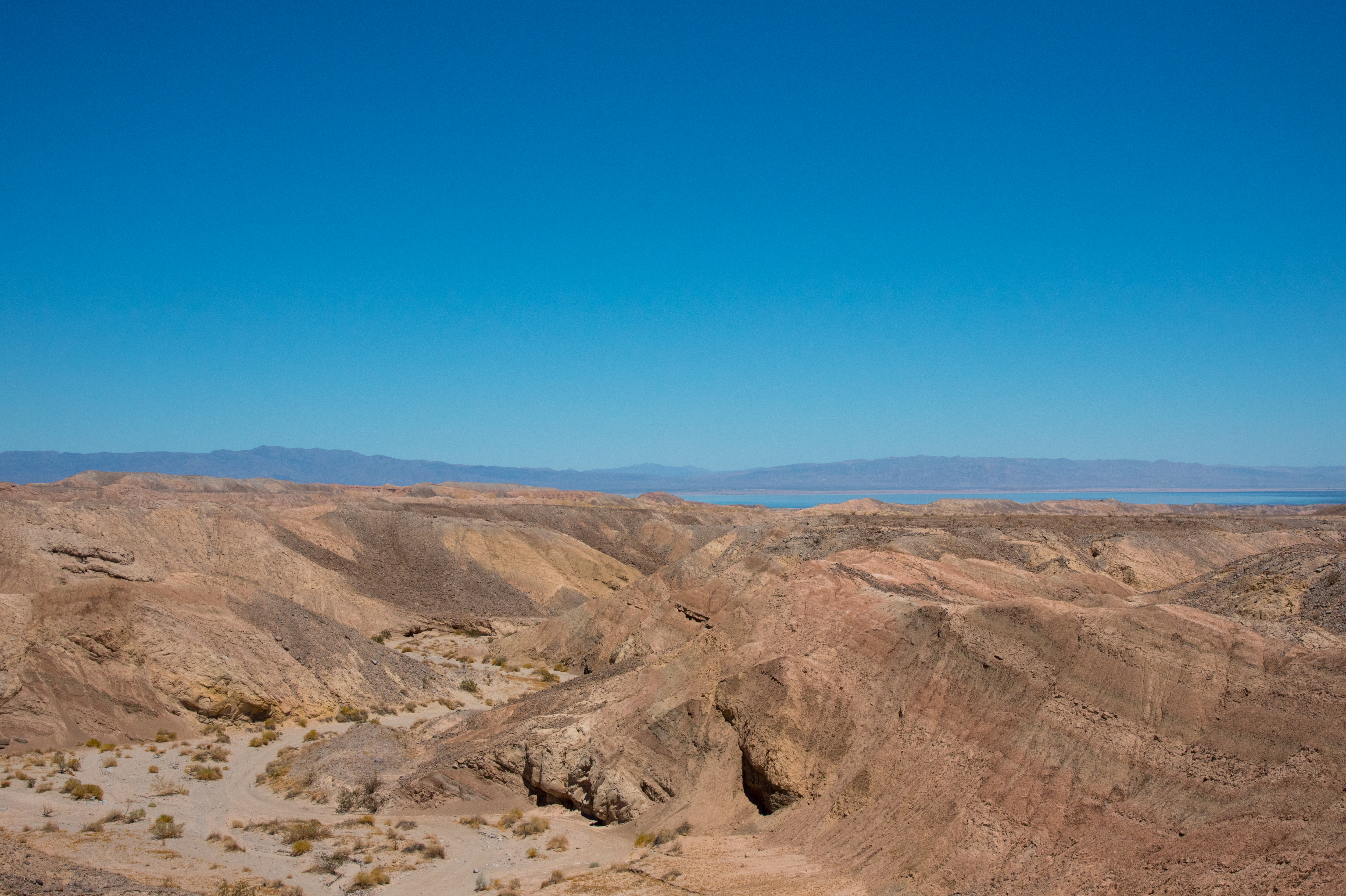 Anza-Borrego Trail