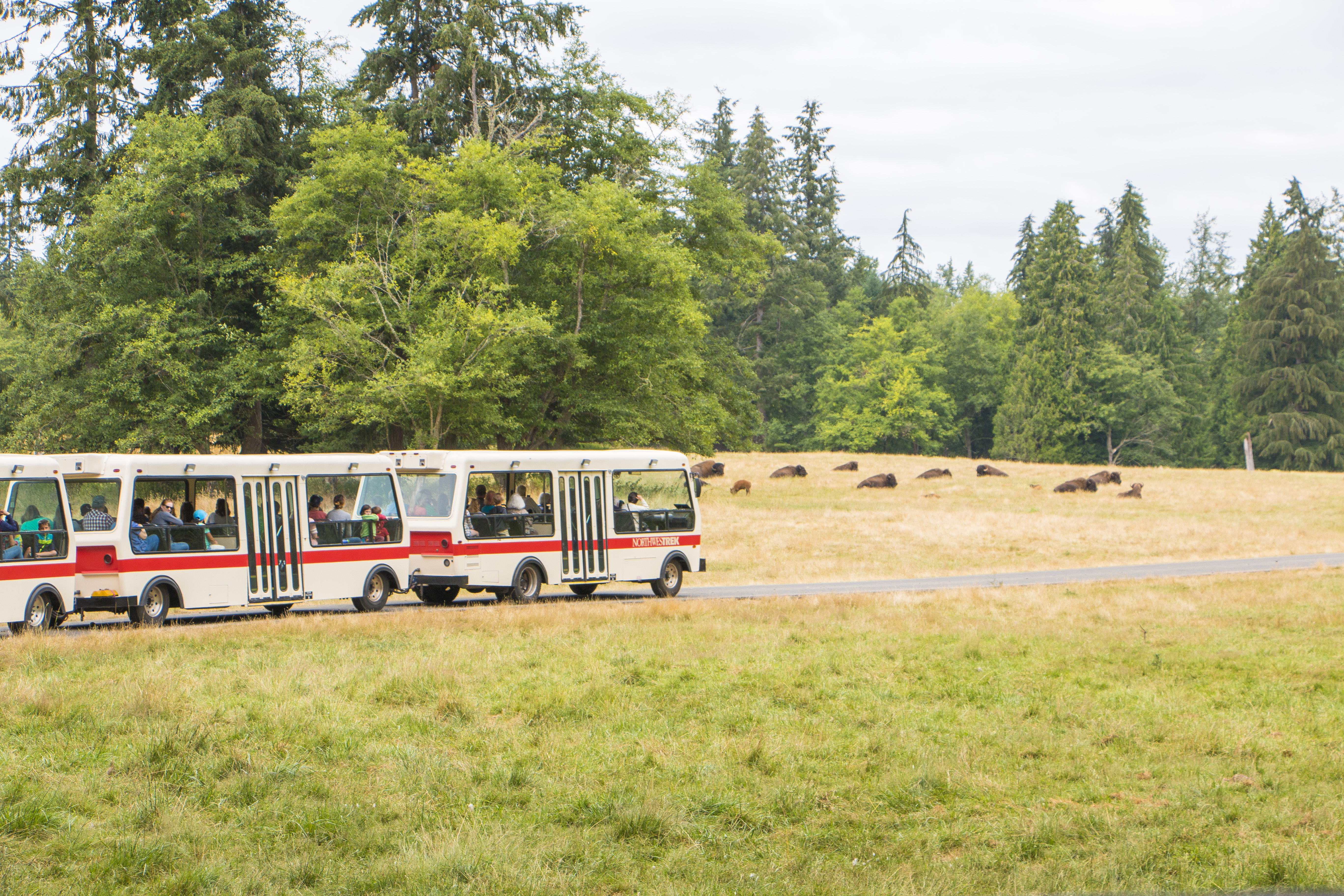 Keeper Adventure tour at Northwest Trek Wildlife Park