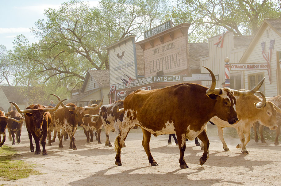 Old Cowtown Museum