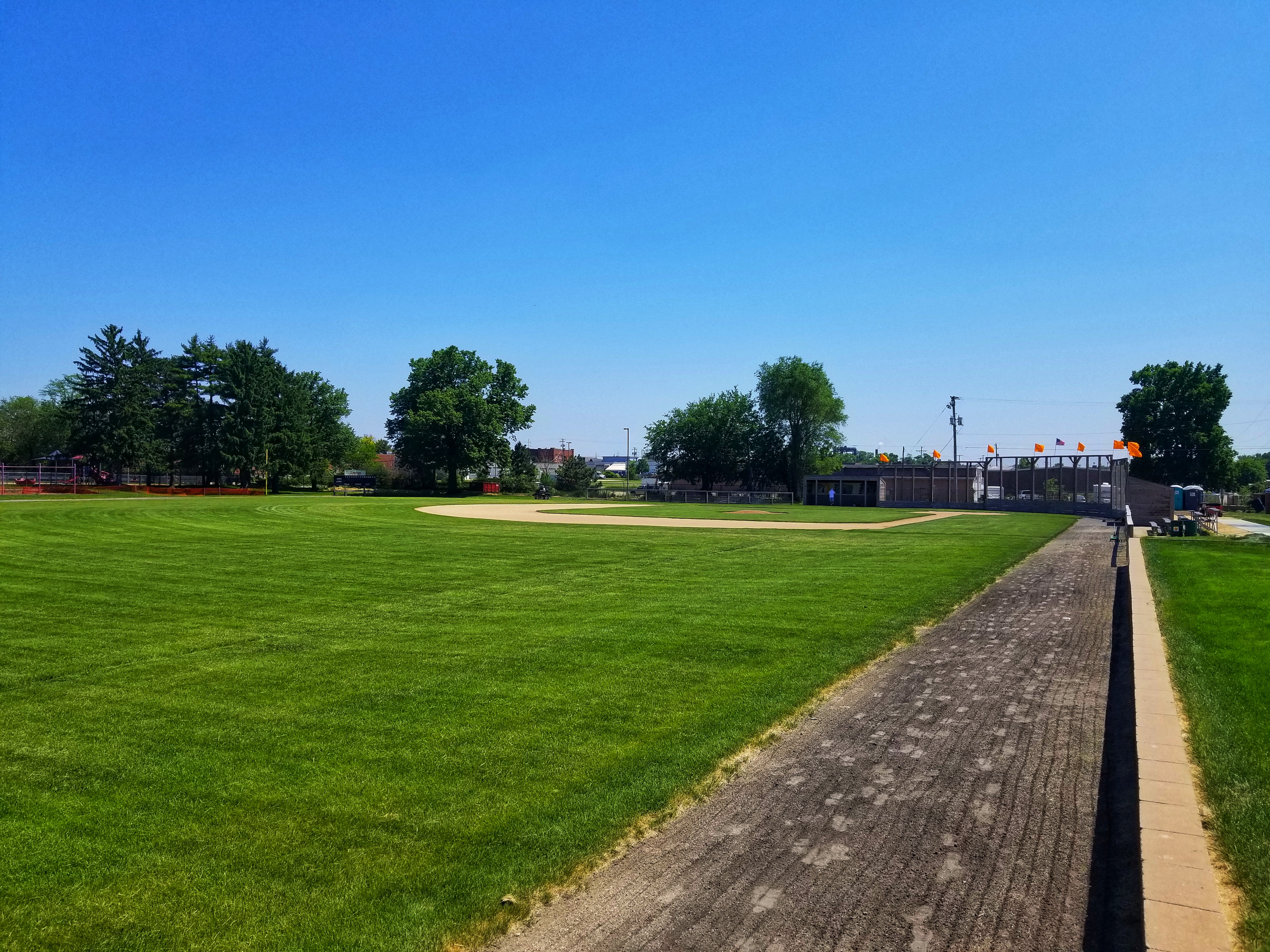 Beyer Grass