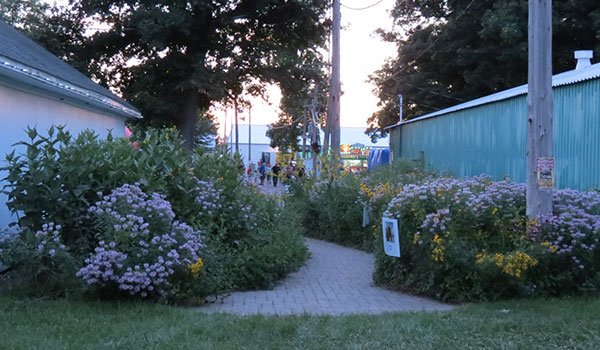 Jeanette Jaskula Nature Walks at Newton County Fair