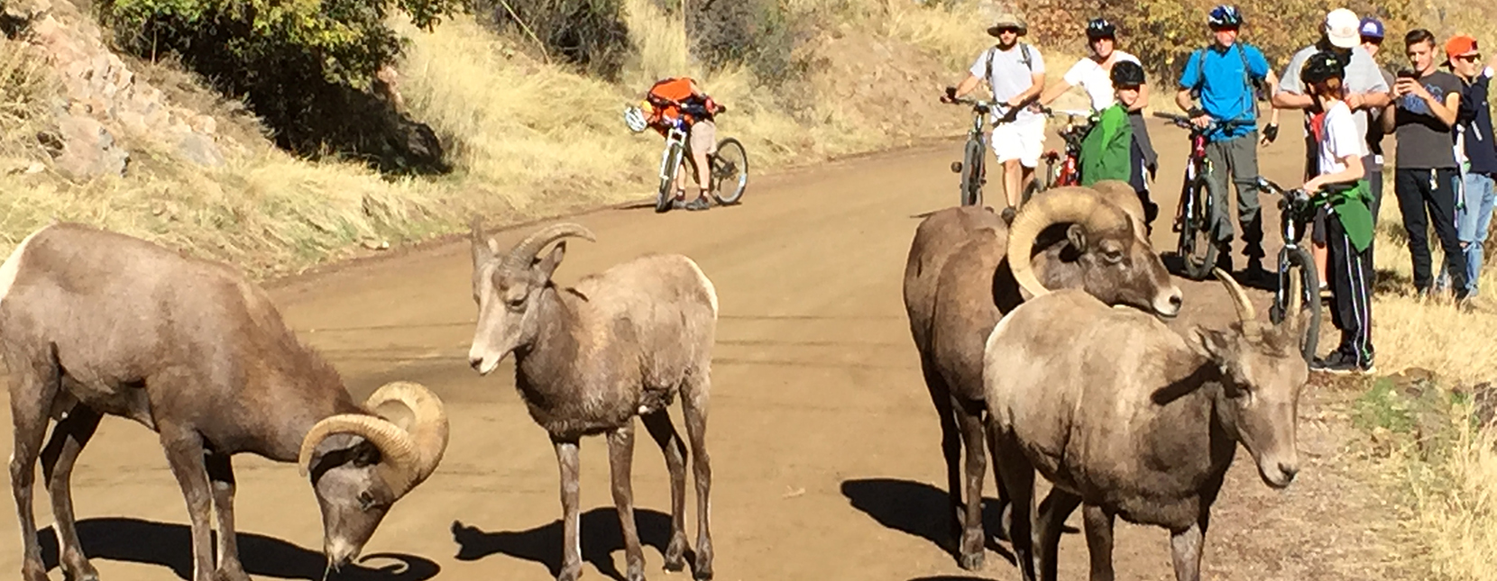 waterton canyon bike trail