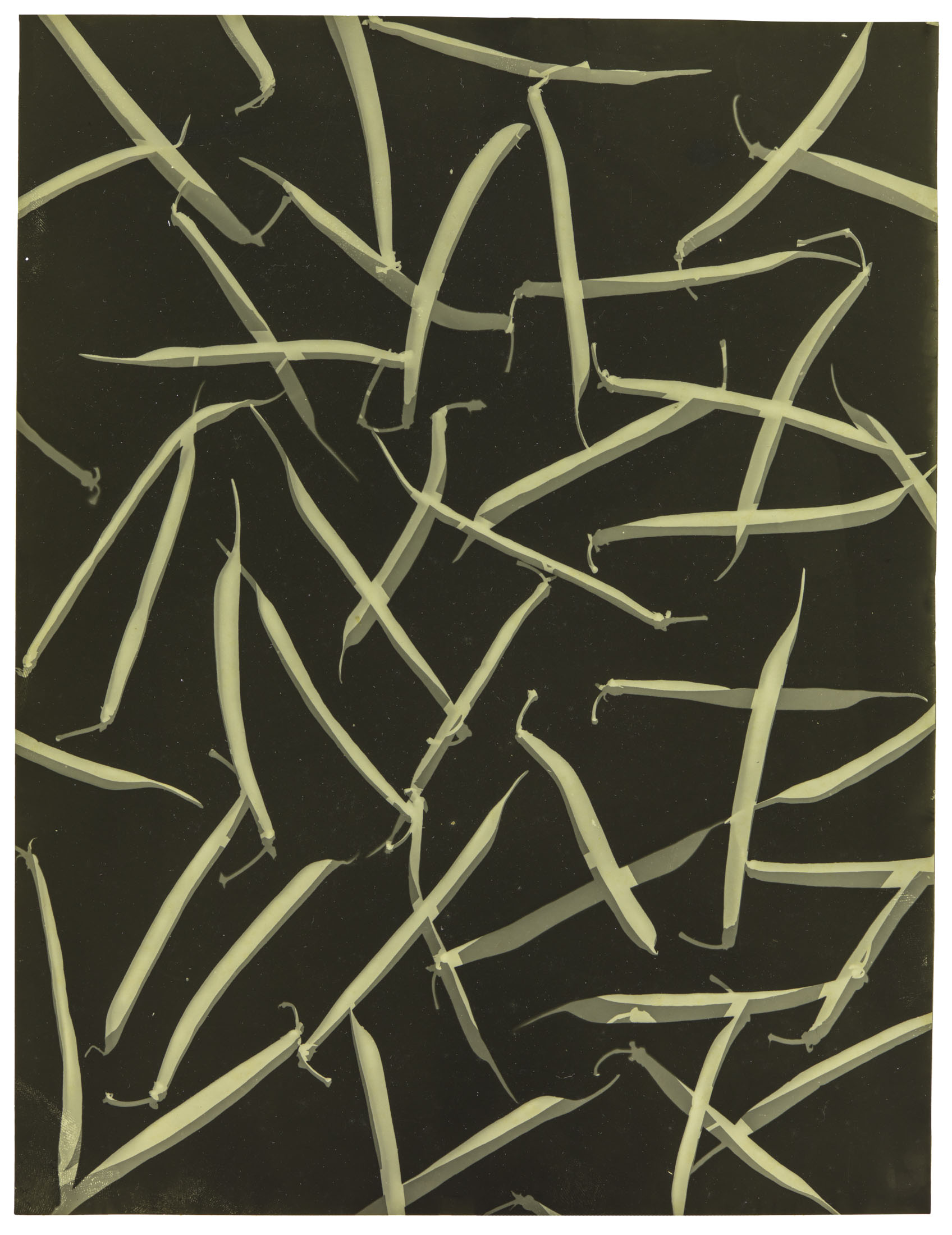 Sutezo Otono, Untitled, c.1930, Gelatin silver print, Museum Purchase with funds provided by George and Milly Denegre, 2016.52