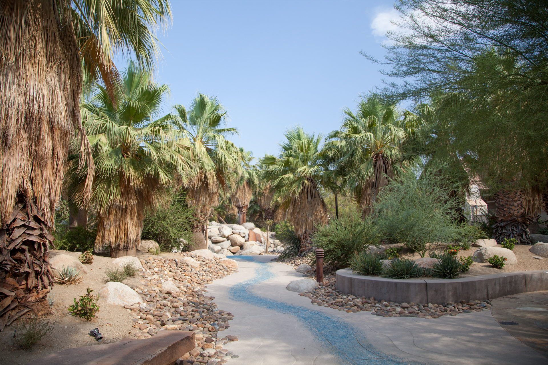 Plant Lover S Guide To Greater Palm Springs