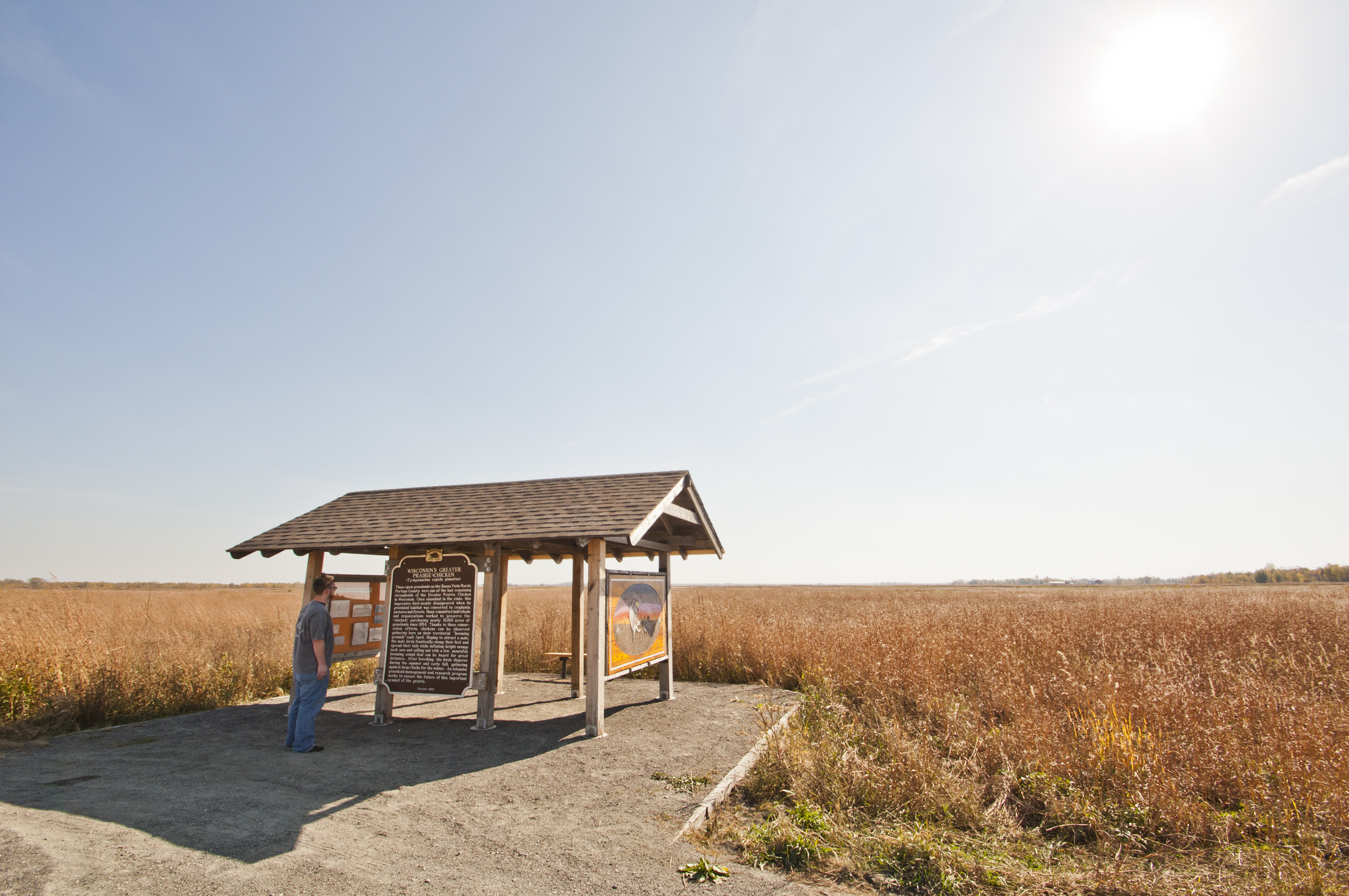 Buena Vista Grasslands