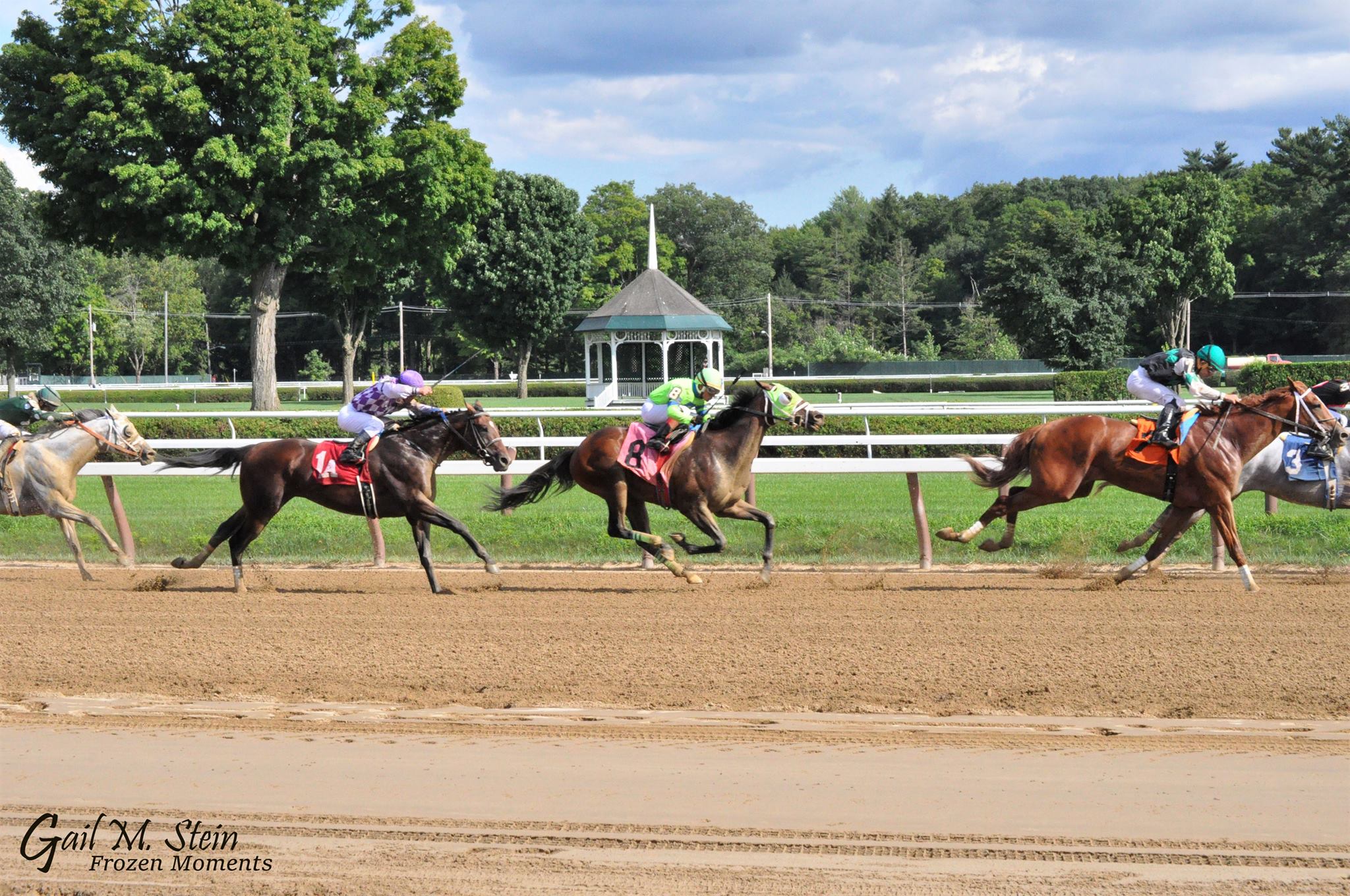 Horses racing around the race track