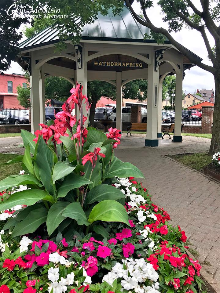 The Hathorn Spring surrounded by flowers