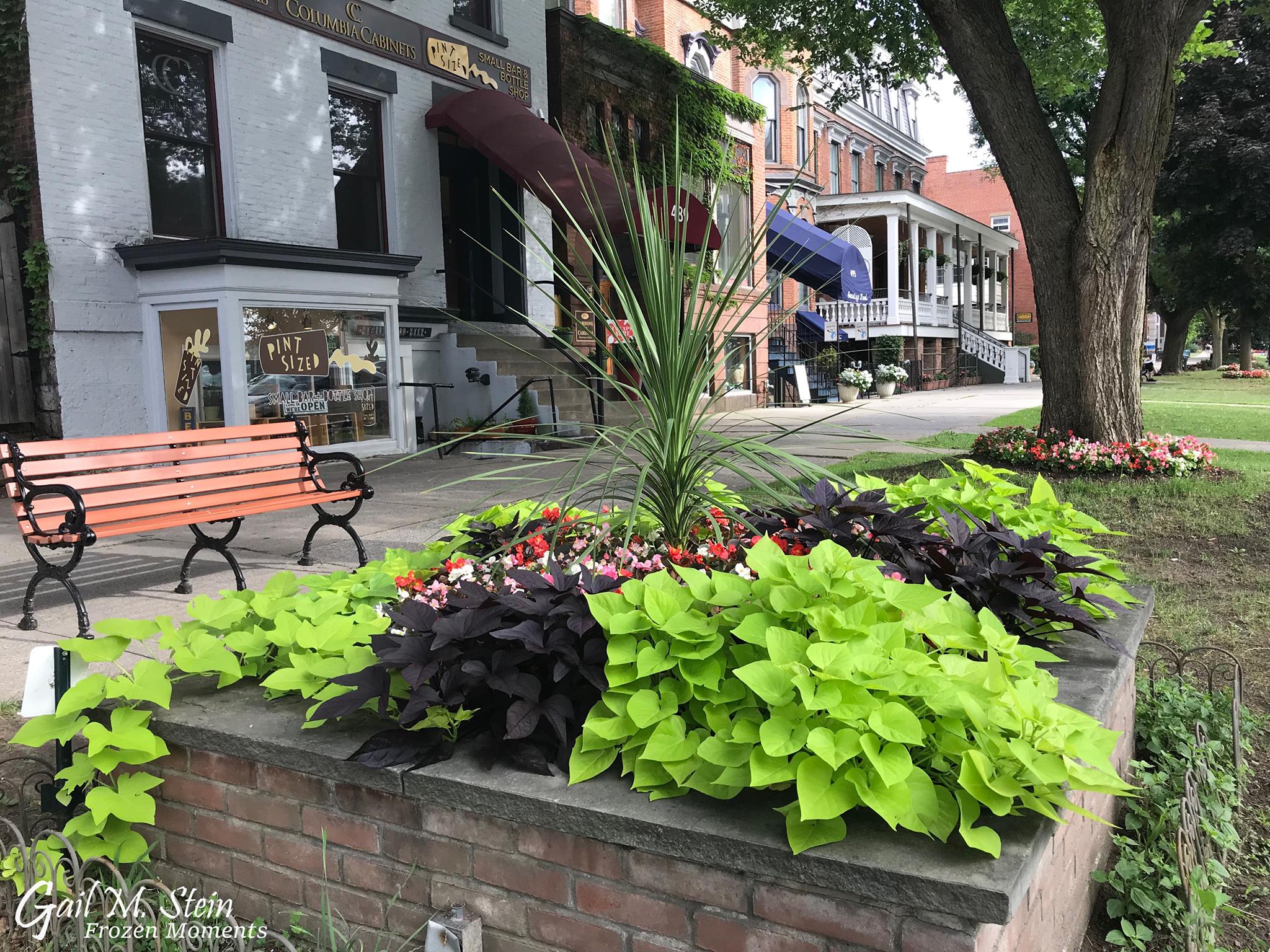 Flower bed with bright green plants along Broadway