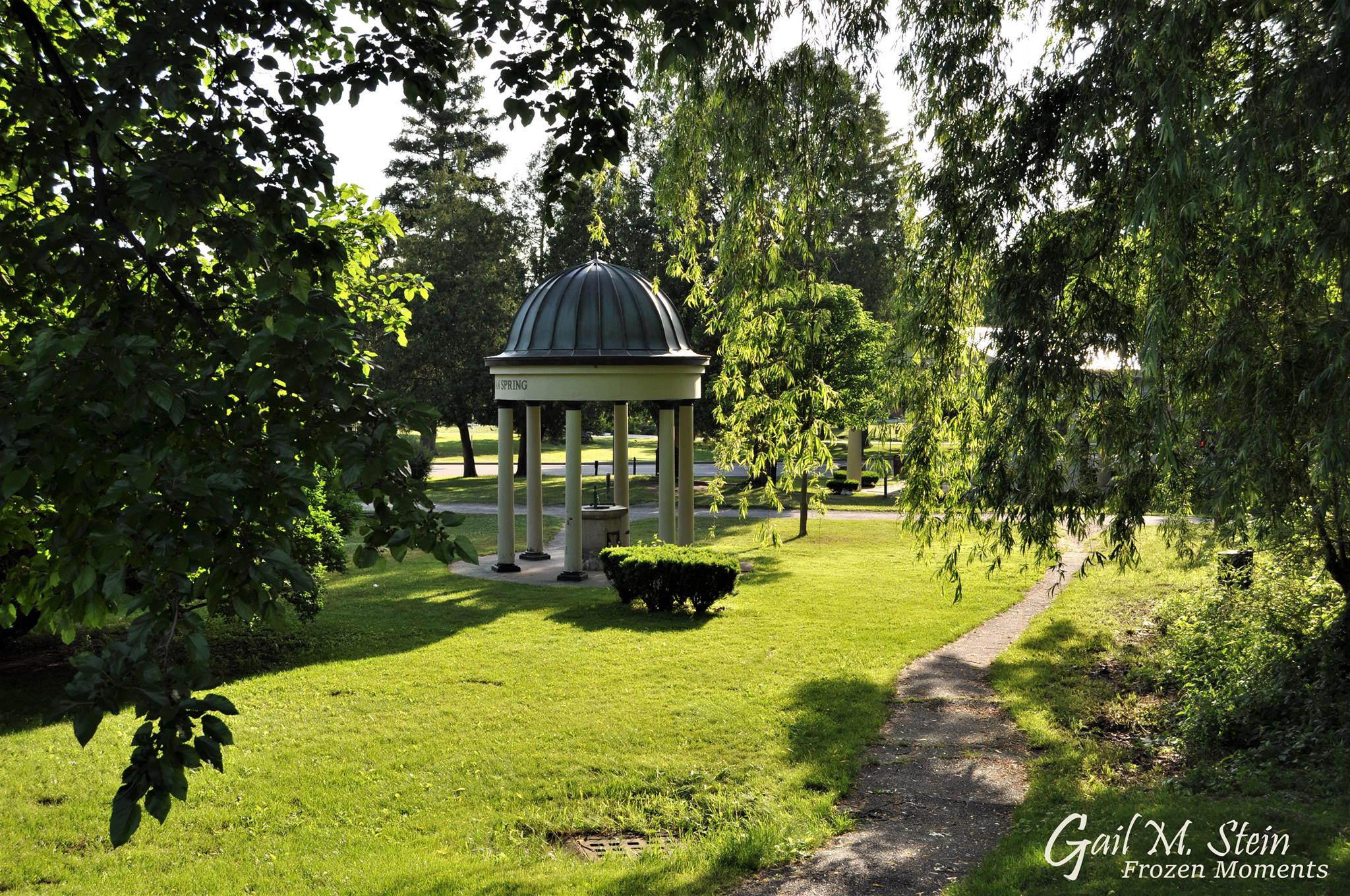 A spring in Congress Park surrounded by green trees and grass