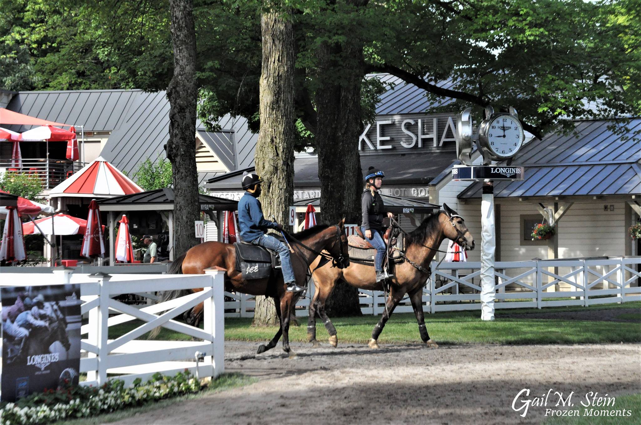 Horses being led into the paddock.