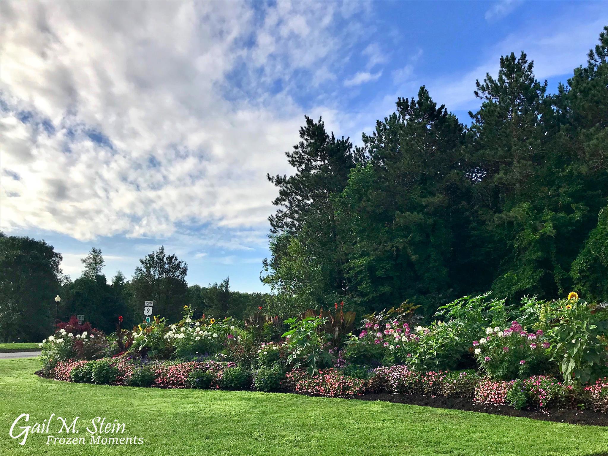 Flowers at Rt. 9 entrance to park.
