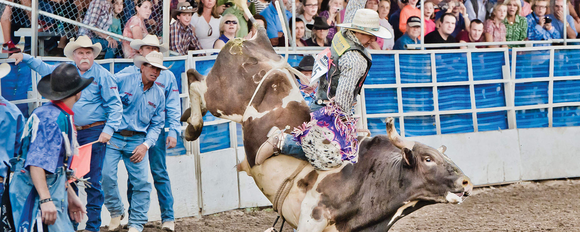 Steamboat Pro Rodeo Series | Steamboat Springs Chamber