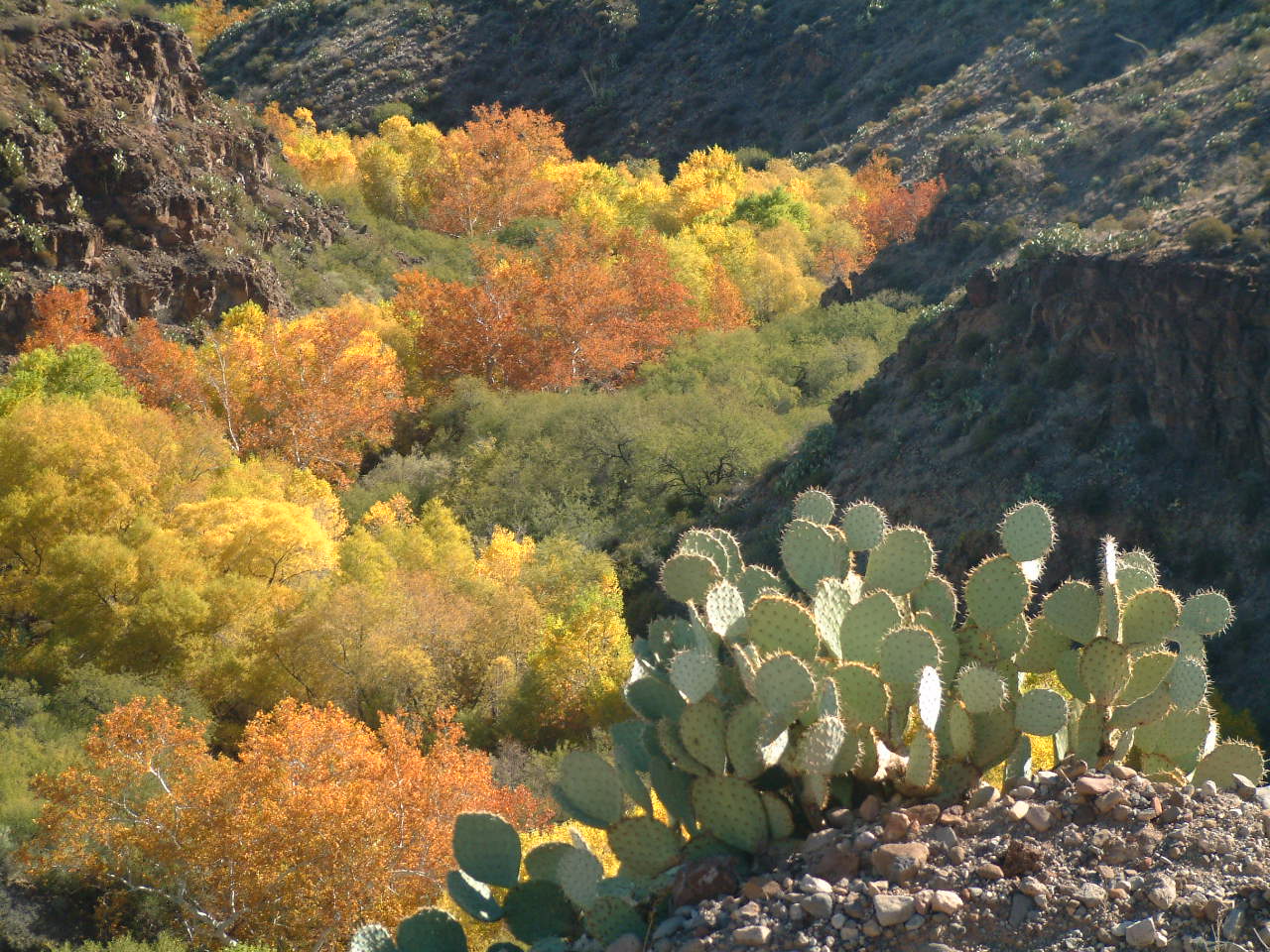 Gila Wilderness