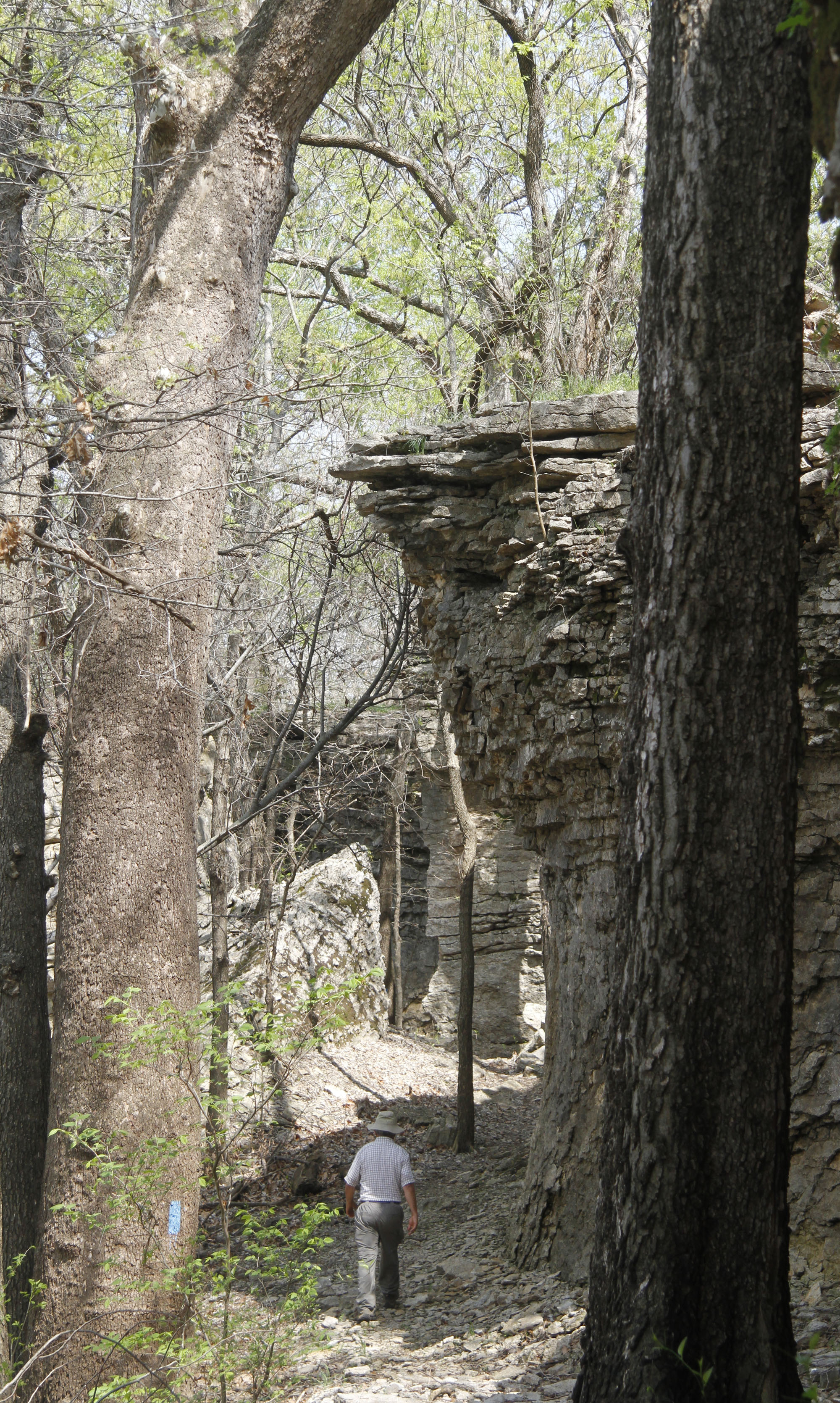 Elk River Trail